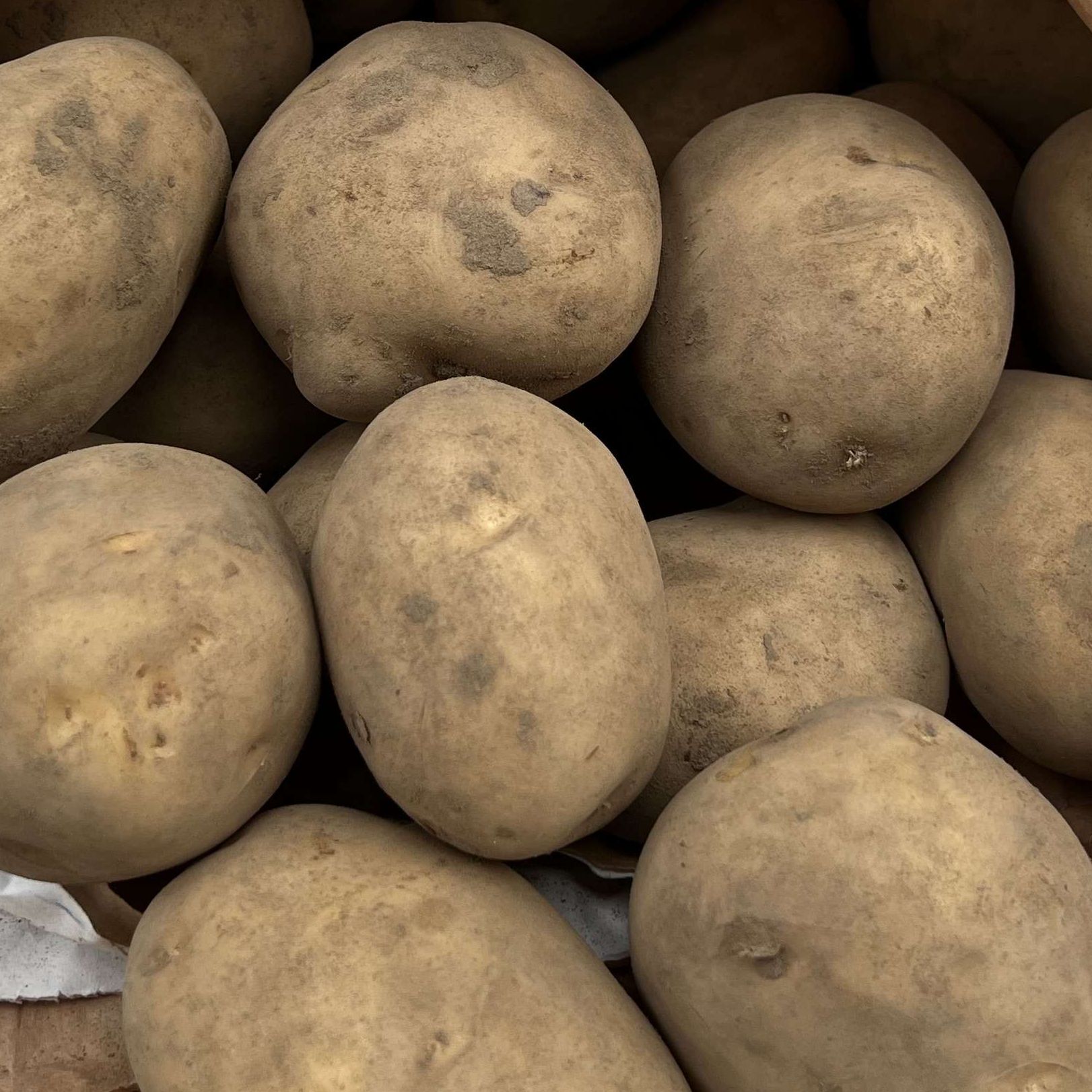 Potato - Marfona (Organic)
(1kg)