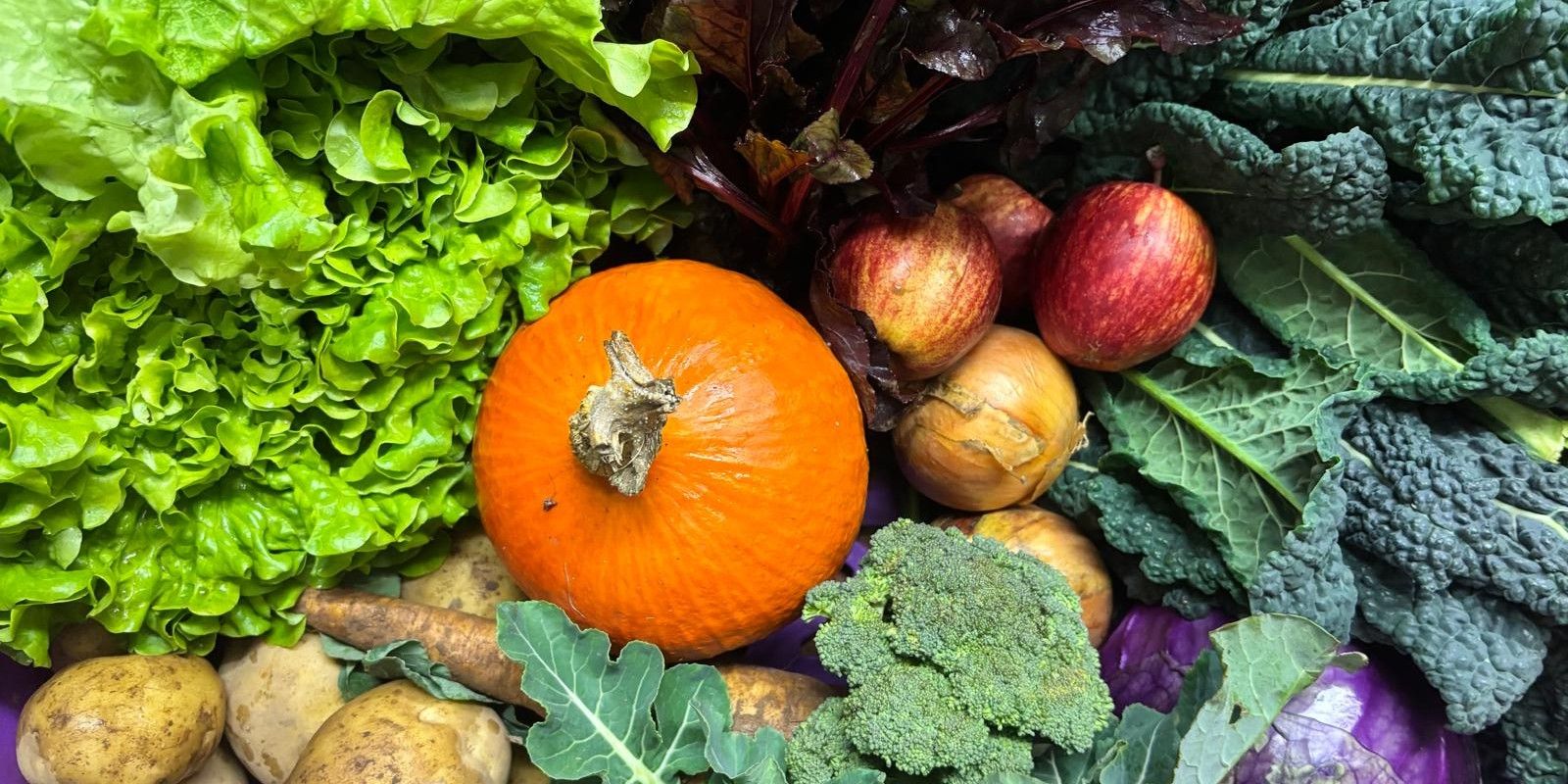 Image of Large veg box