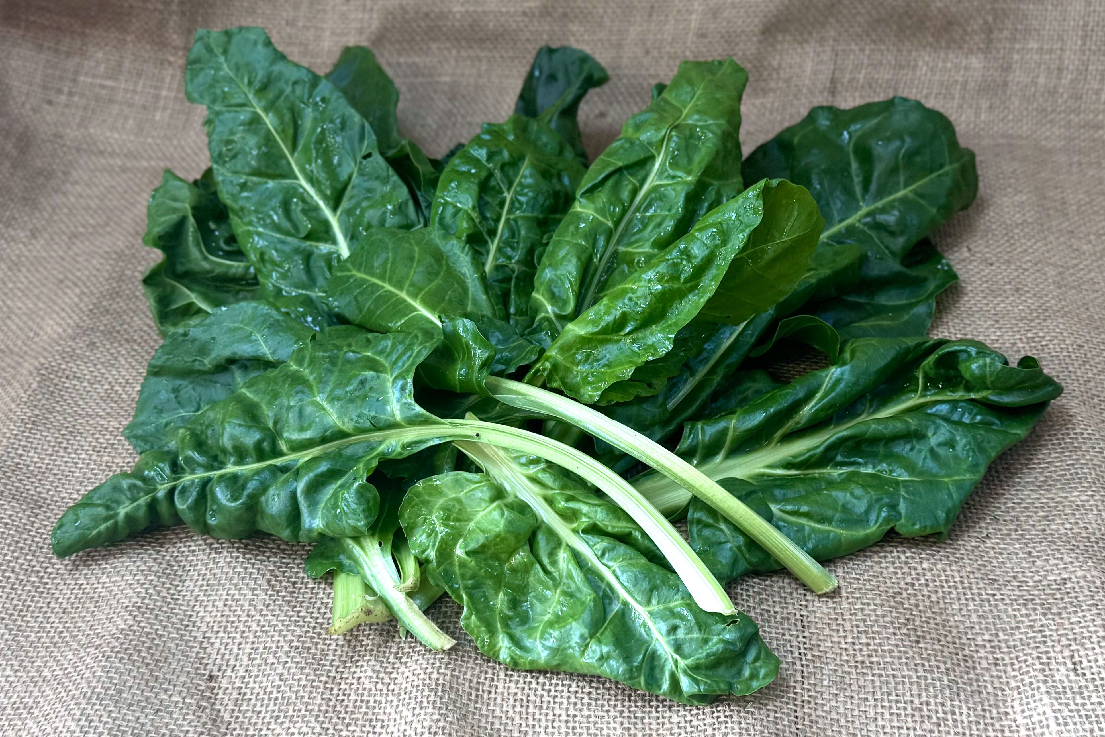 Image of Erbette Spinach