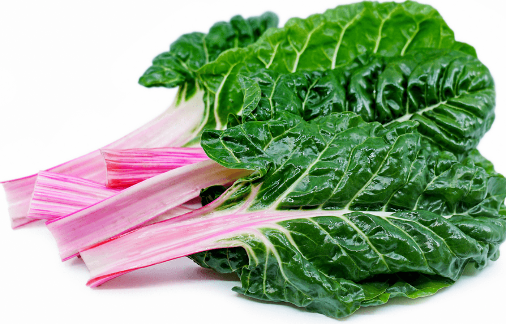 Chard [Peppermint]