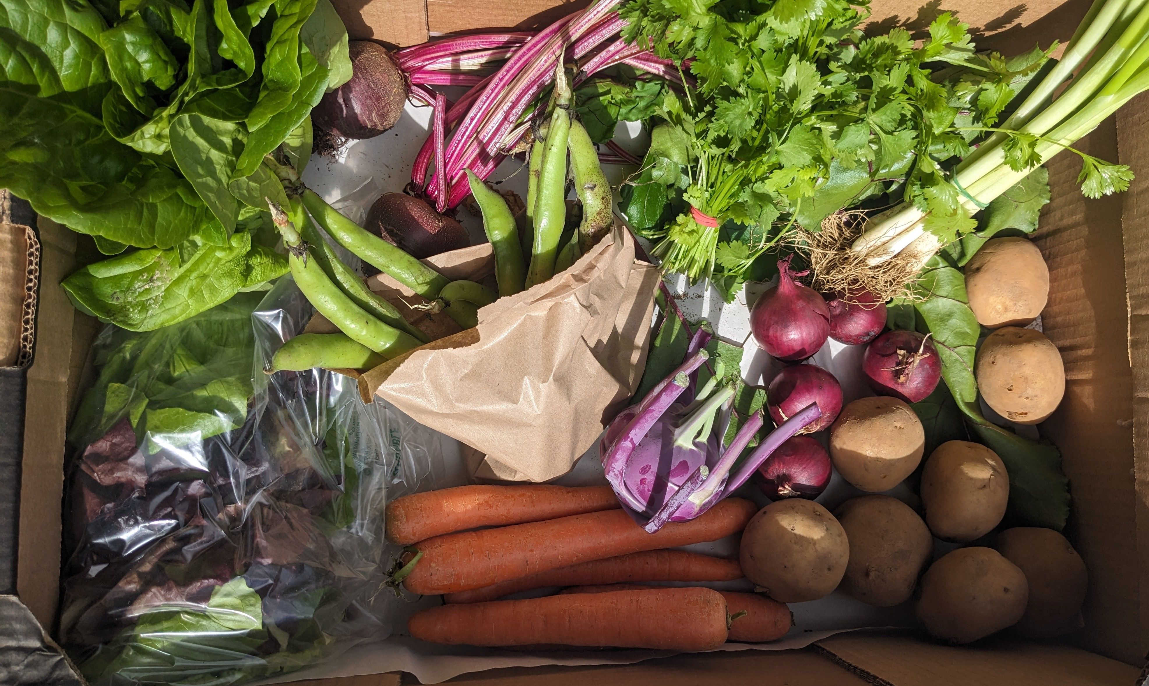 Image of Large veg box