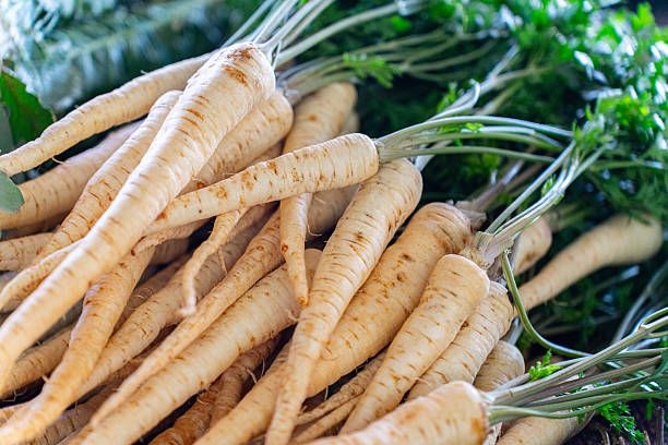 Organic Parsnips