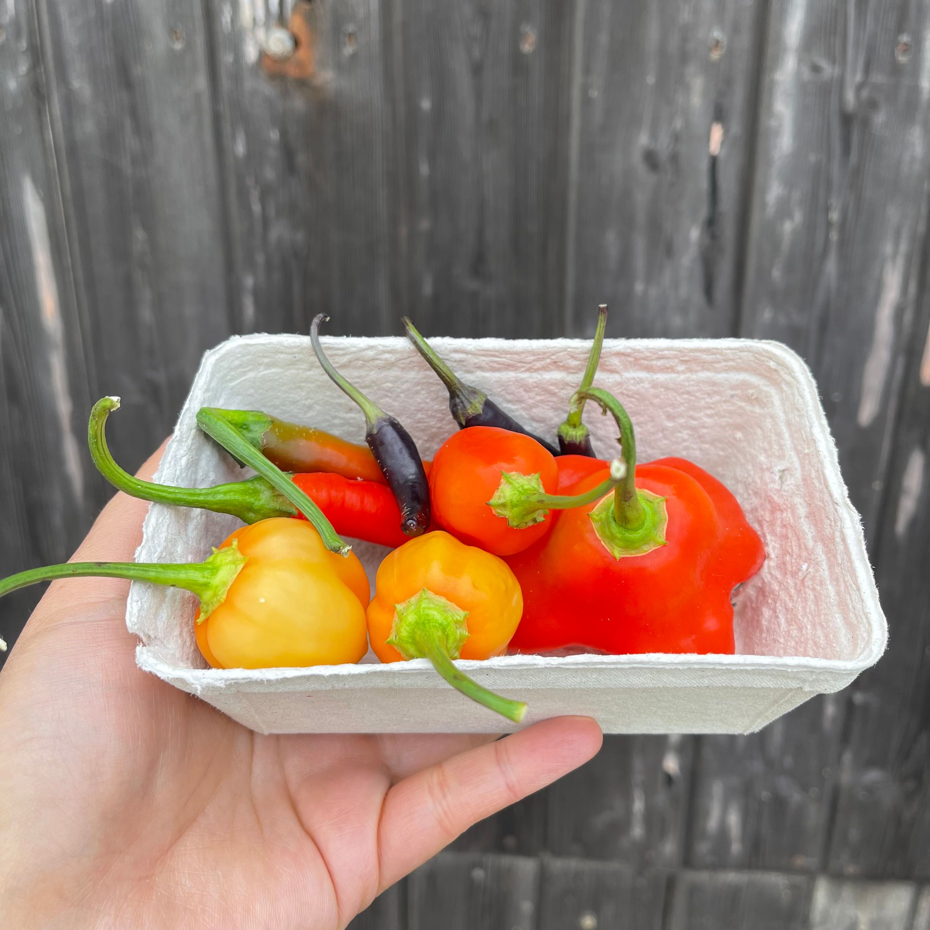 Chilli Mix