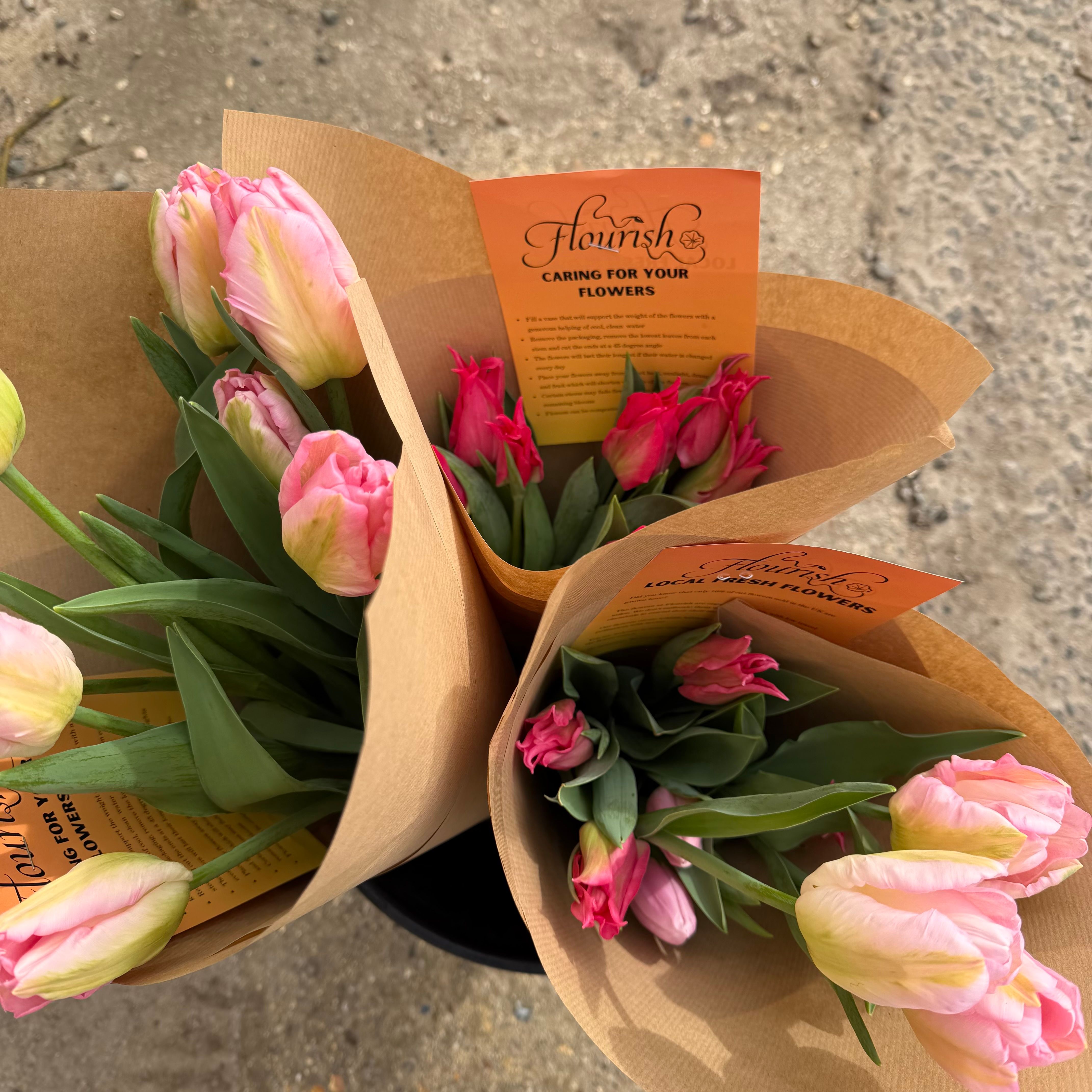 Image of Organic Tulips - Pinks & Whites (Bunch)