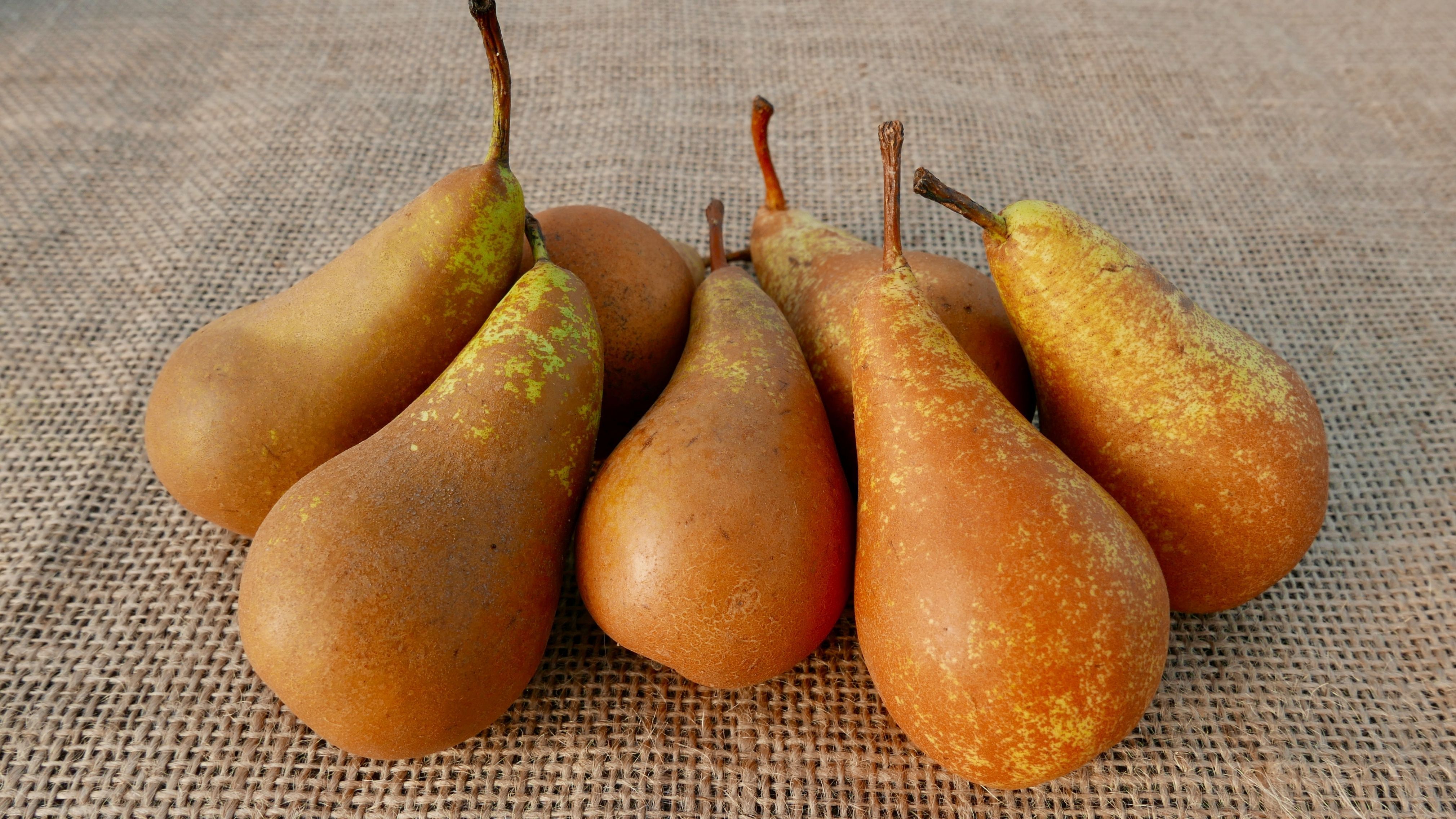 Pears