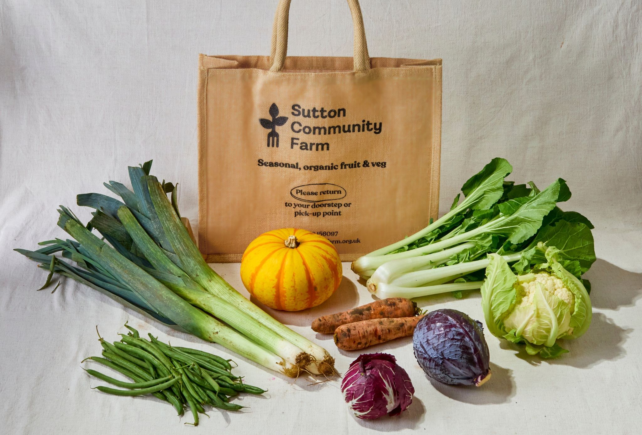 Medium Veg Box (no potatoes)