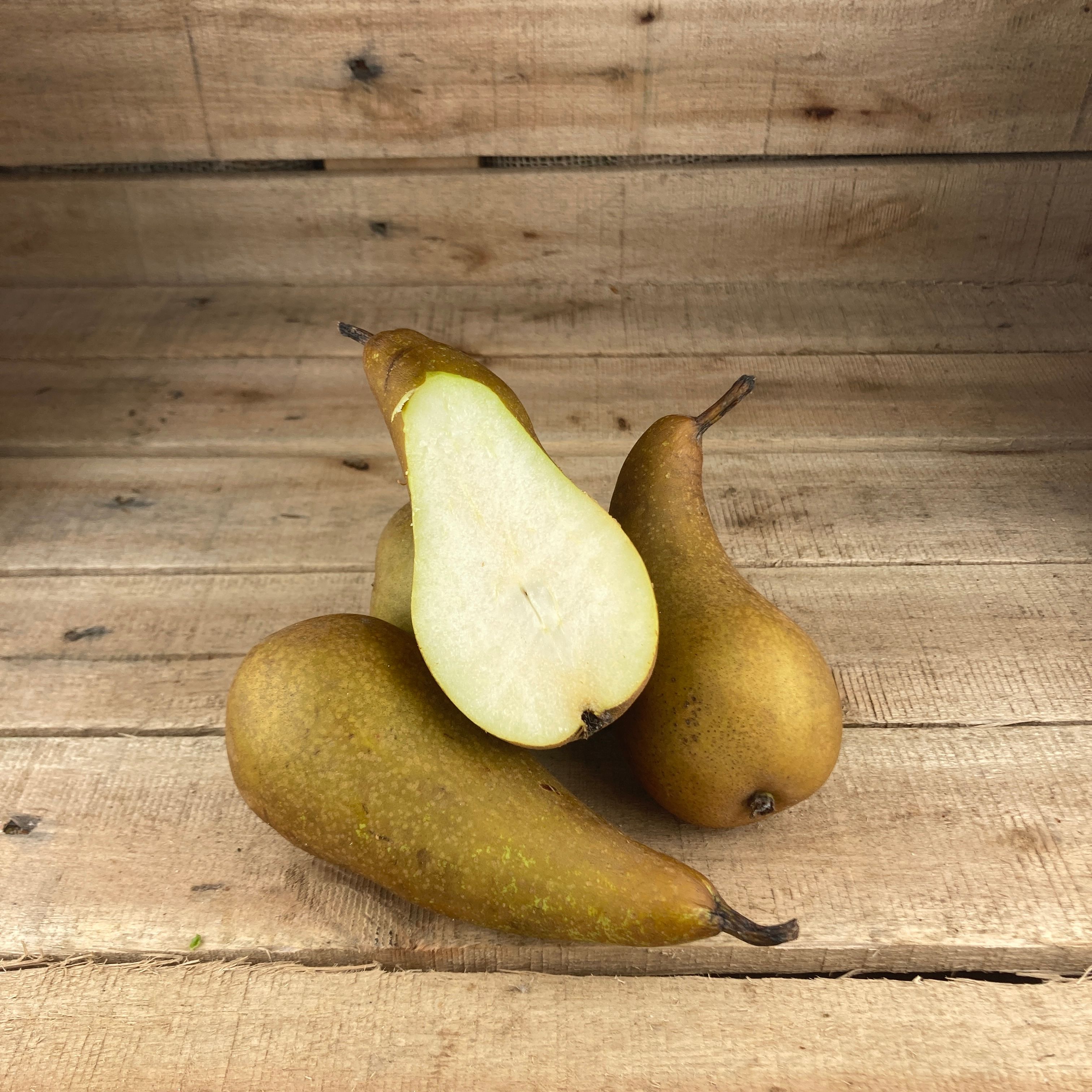 Pears, Conference