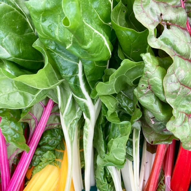 Image of Rainbow Chard (250g)