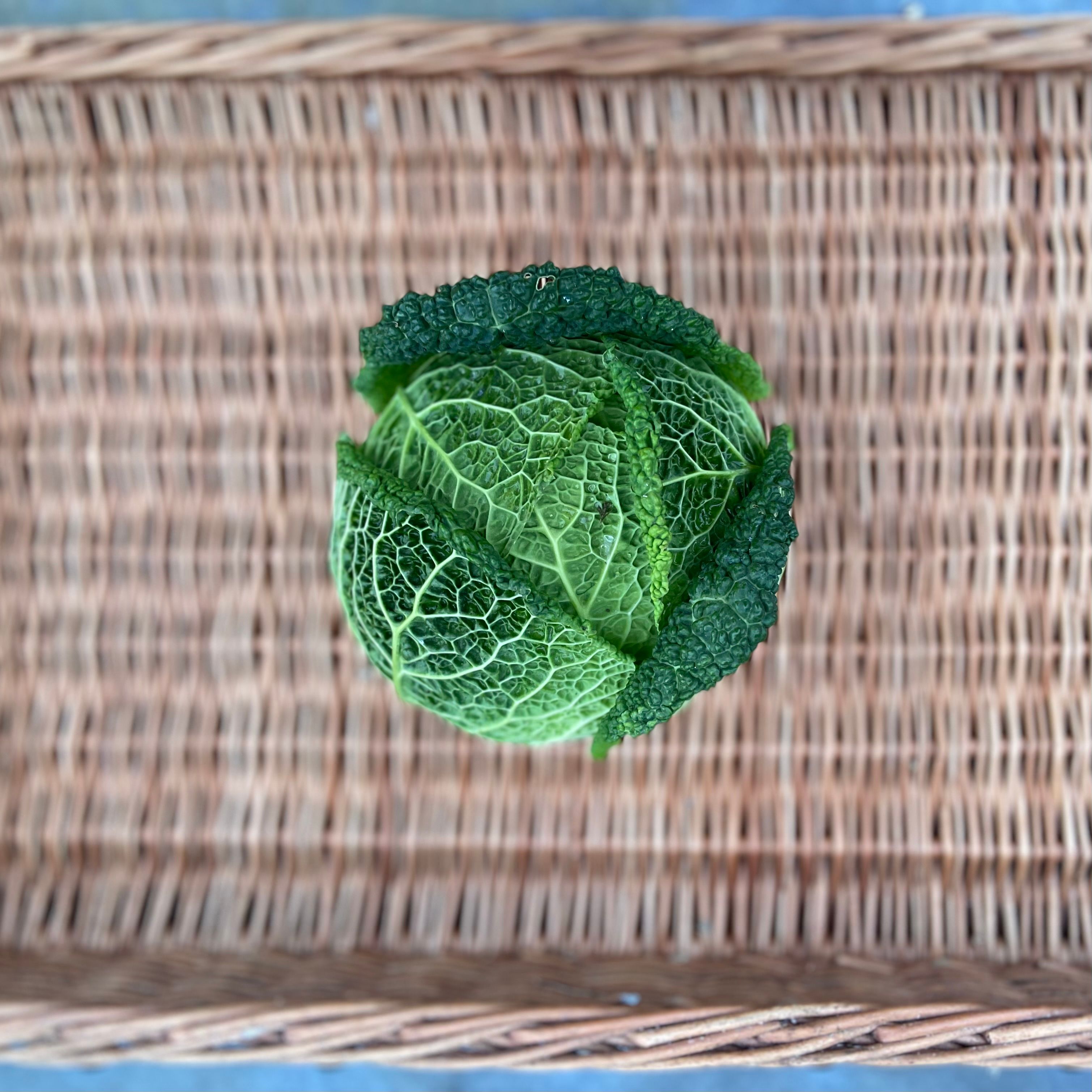 Image of Savoy Cabbage