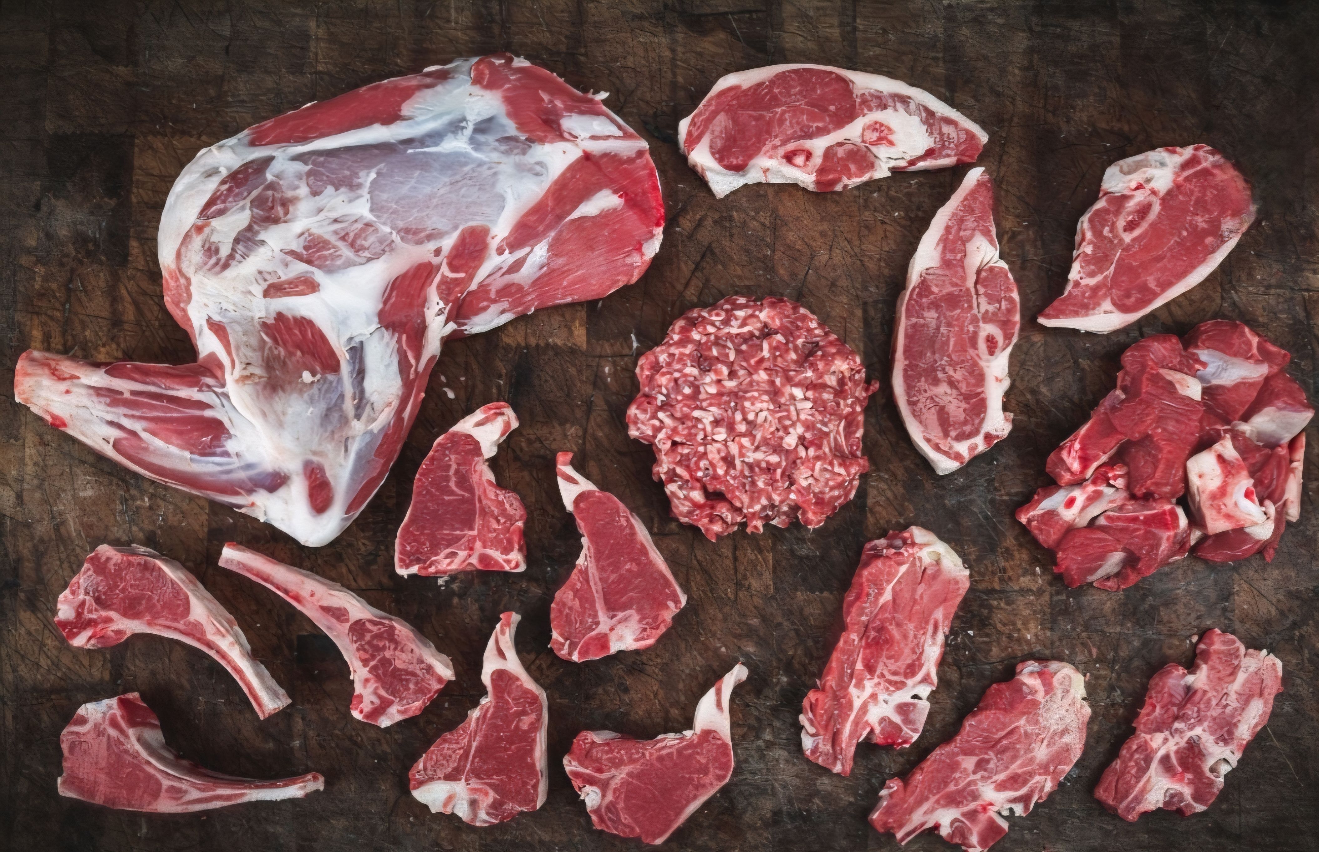 Lamb