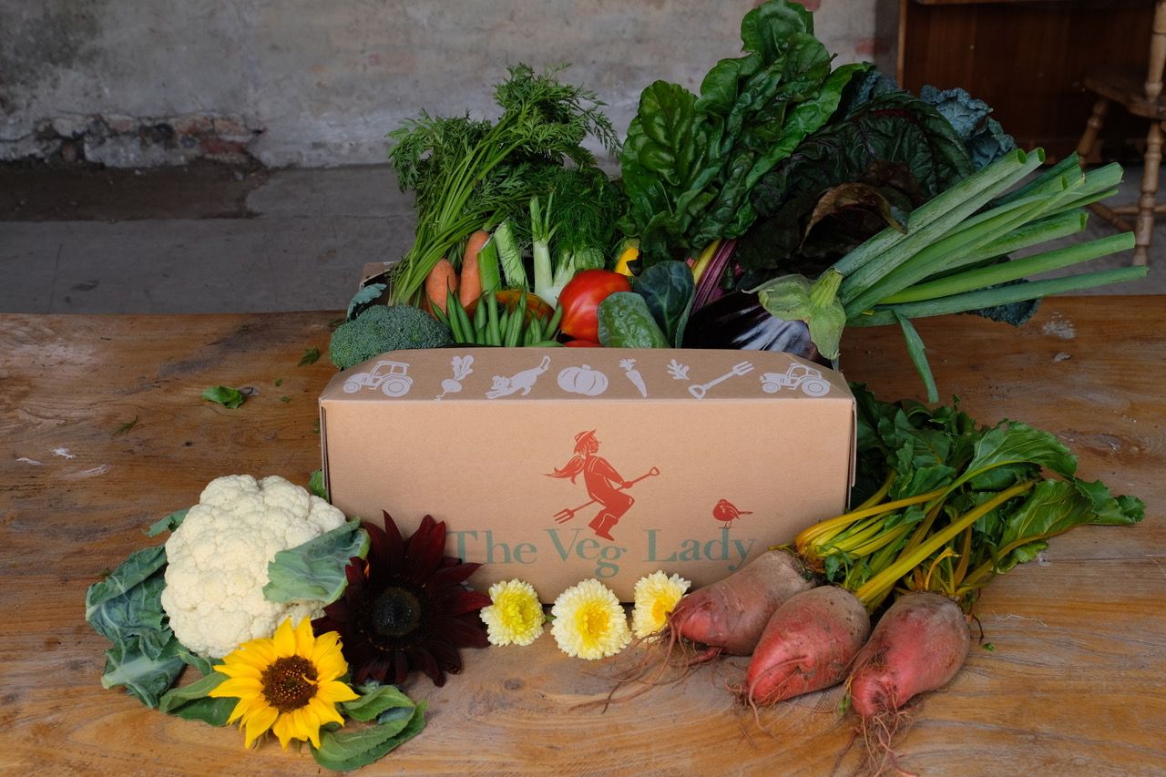 Image of Gift Voucher - £20