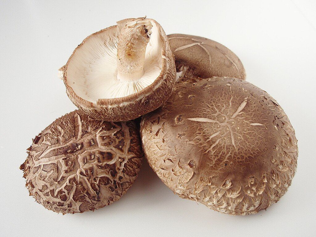 Shiitake Mushrooms