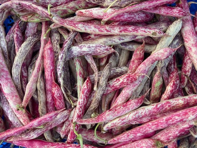 Image of Borlotti Beans (450g)