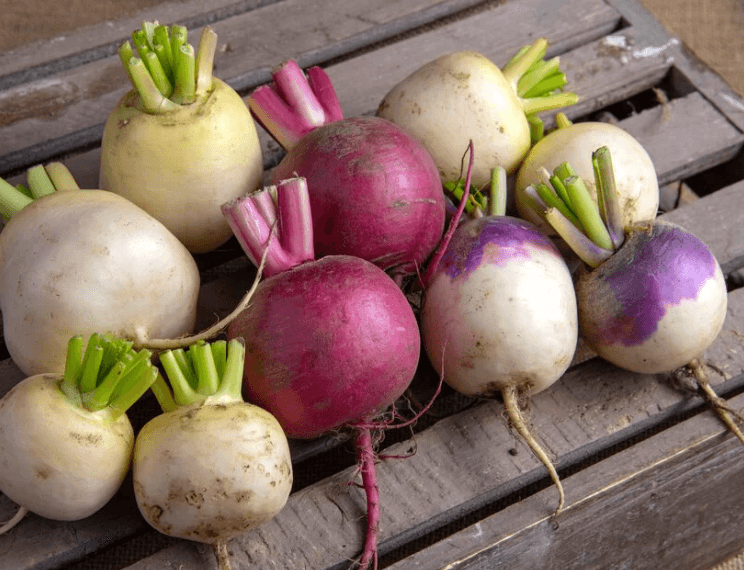 Turnips