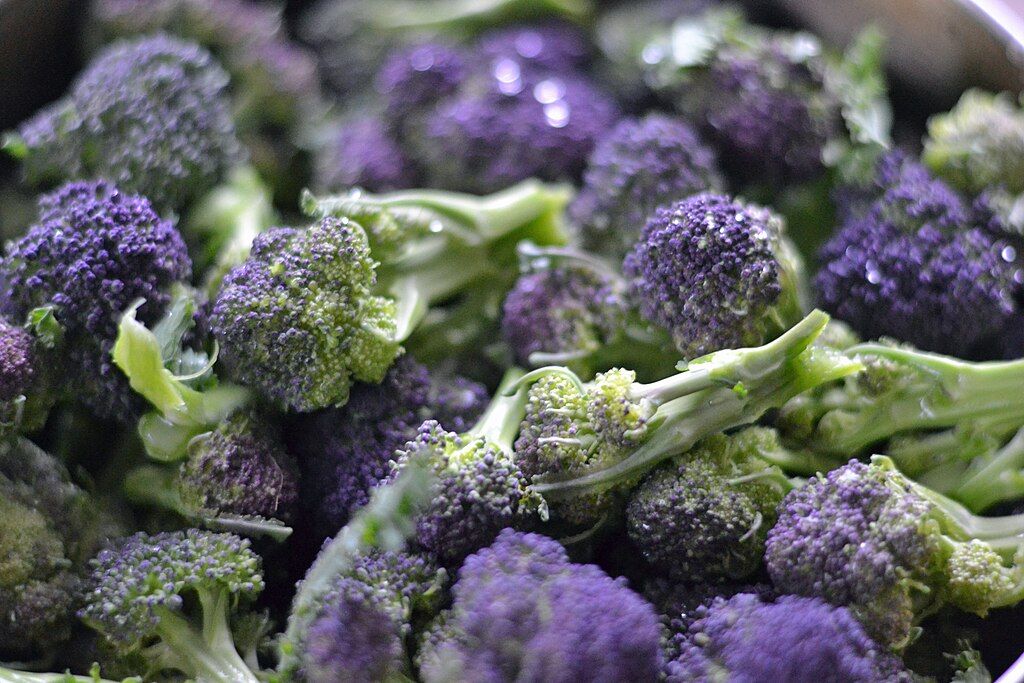 Image of Purple Sprouting Broccoli