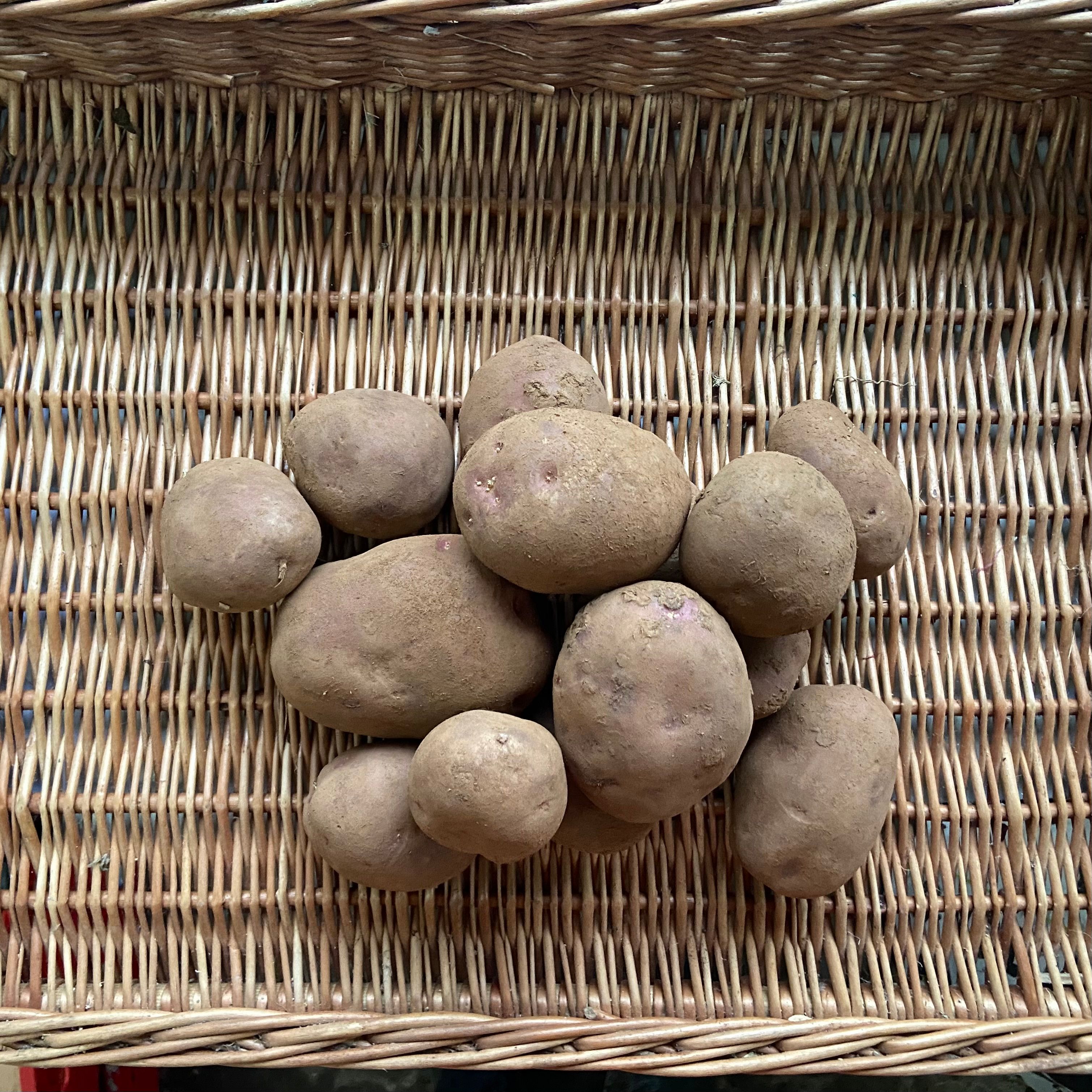 Image of Red Potatoes