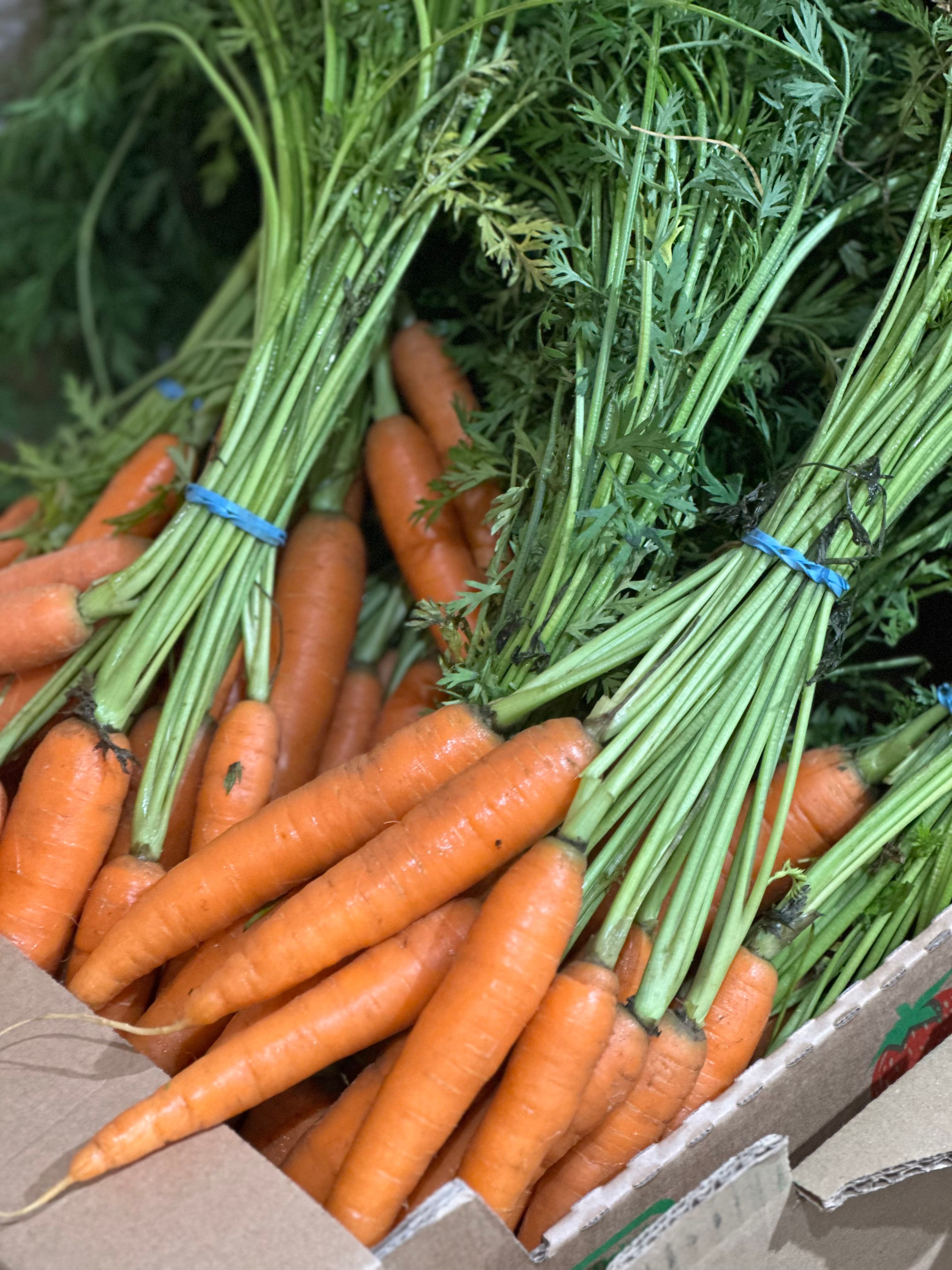 Image of Bunched Carrots