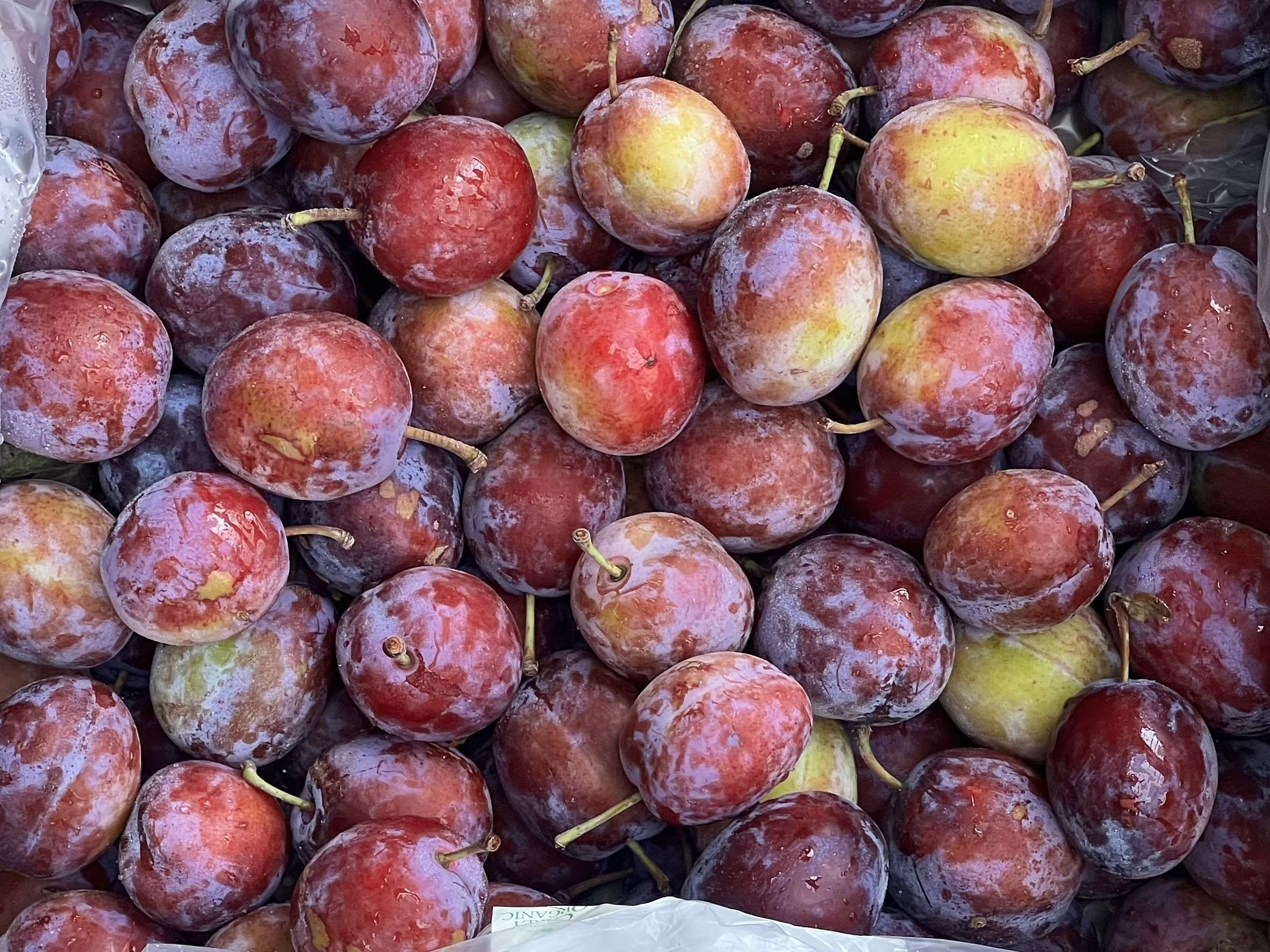 Image of Plum - Mallard (Organic) 400g