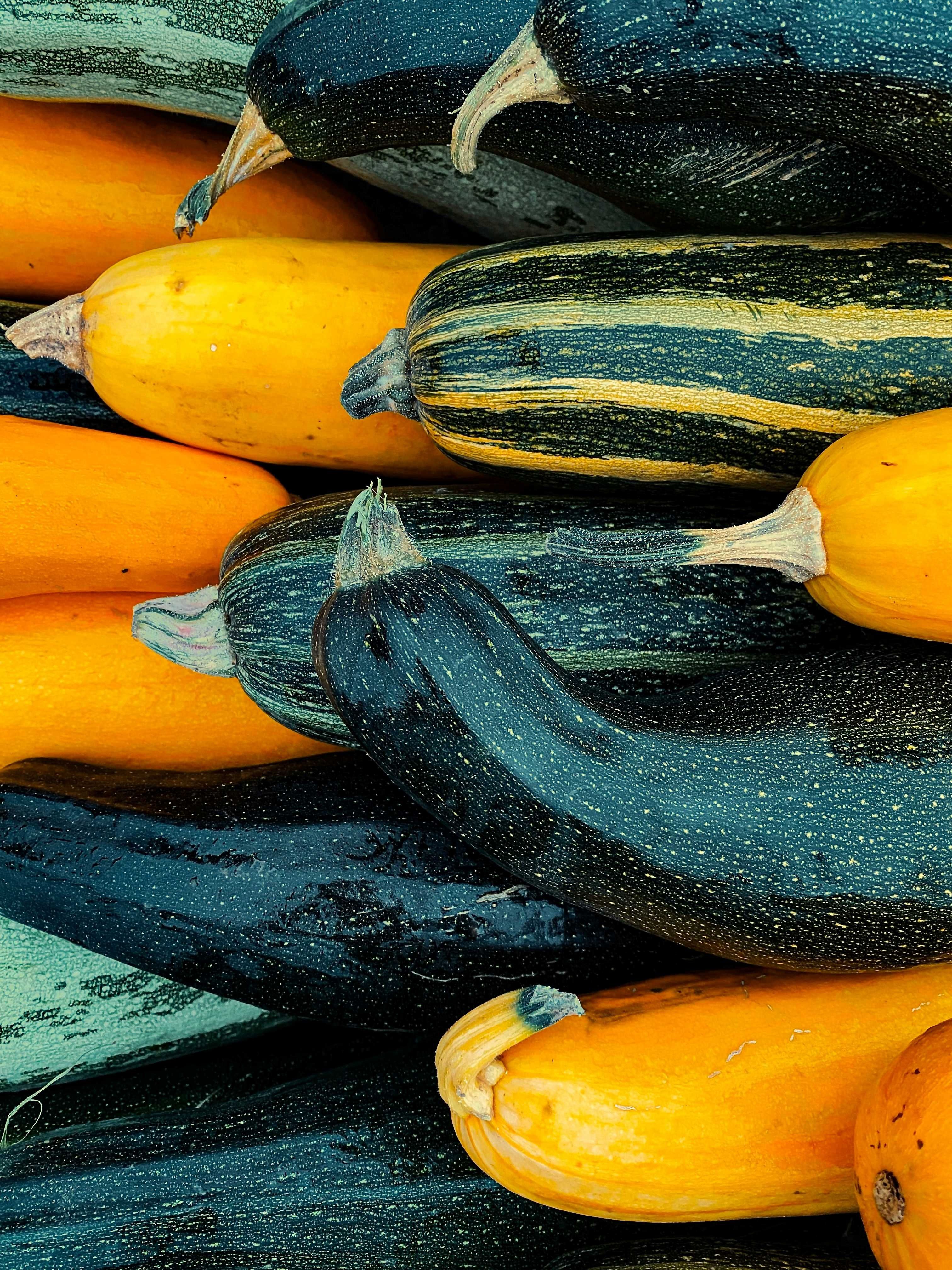 Image of Courgettes, mixed colours