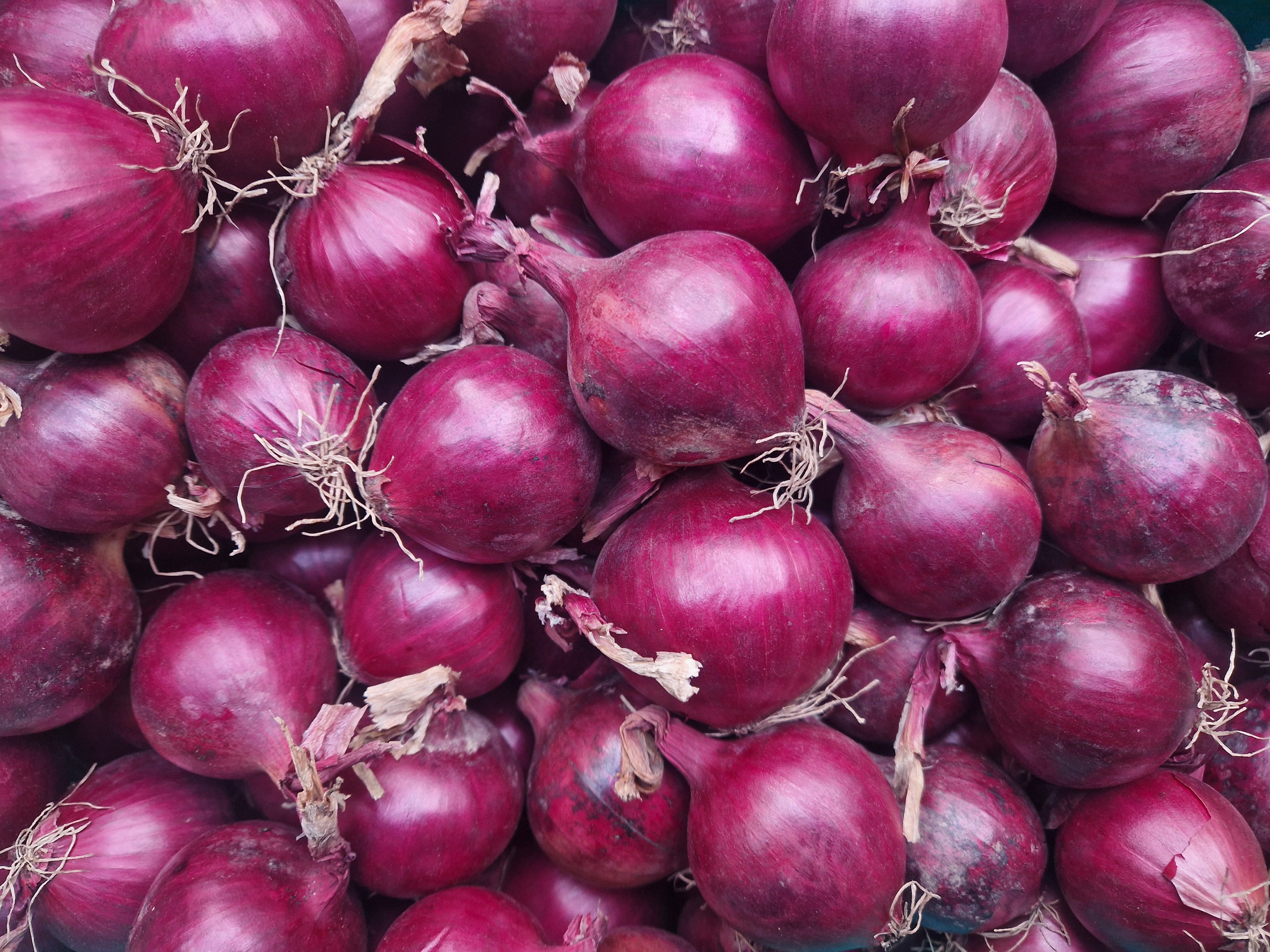 Image of Onions Red