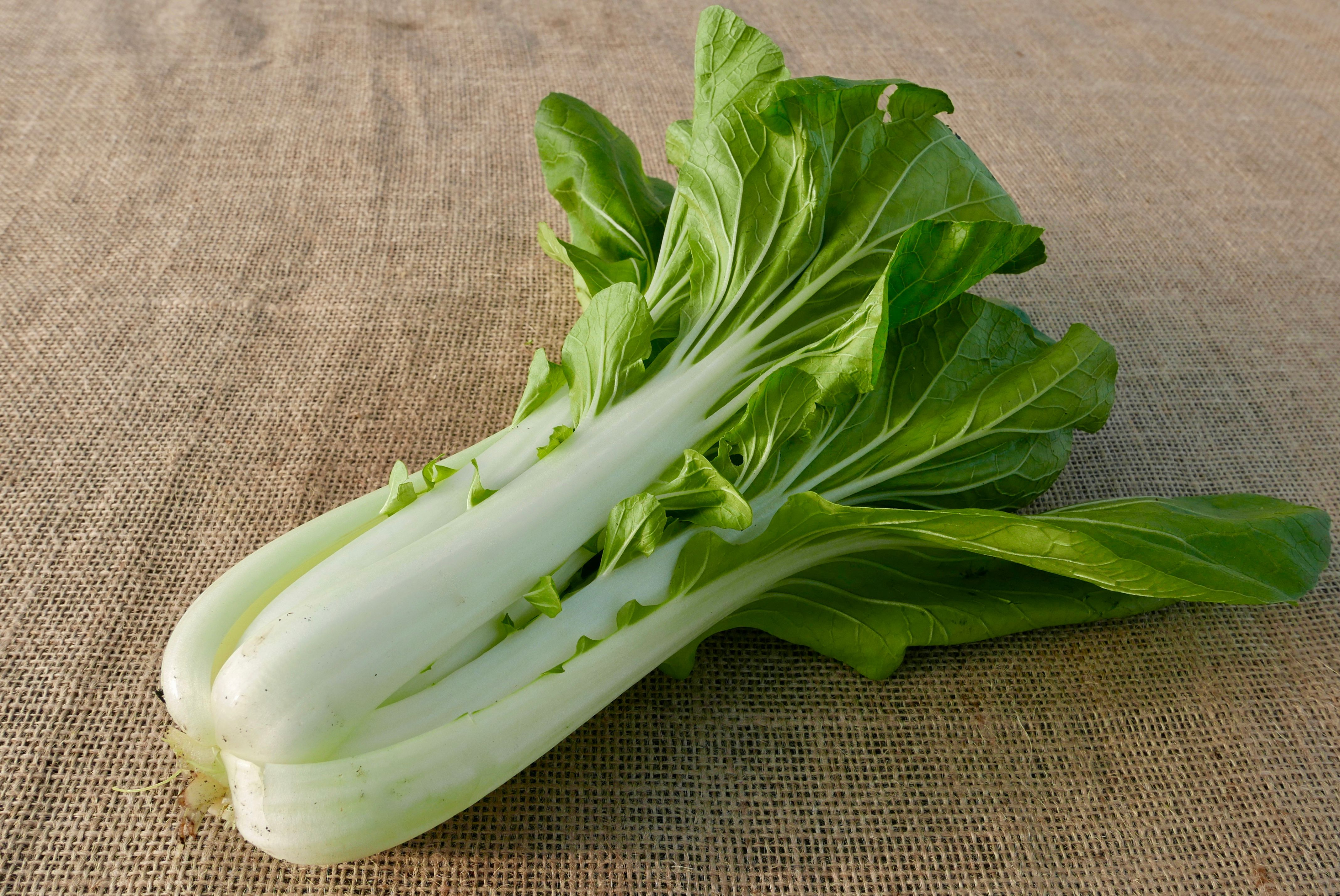 Pak Choi