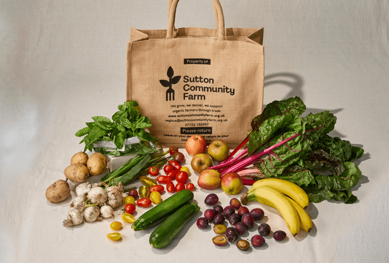 Small Fruit & Veg Box