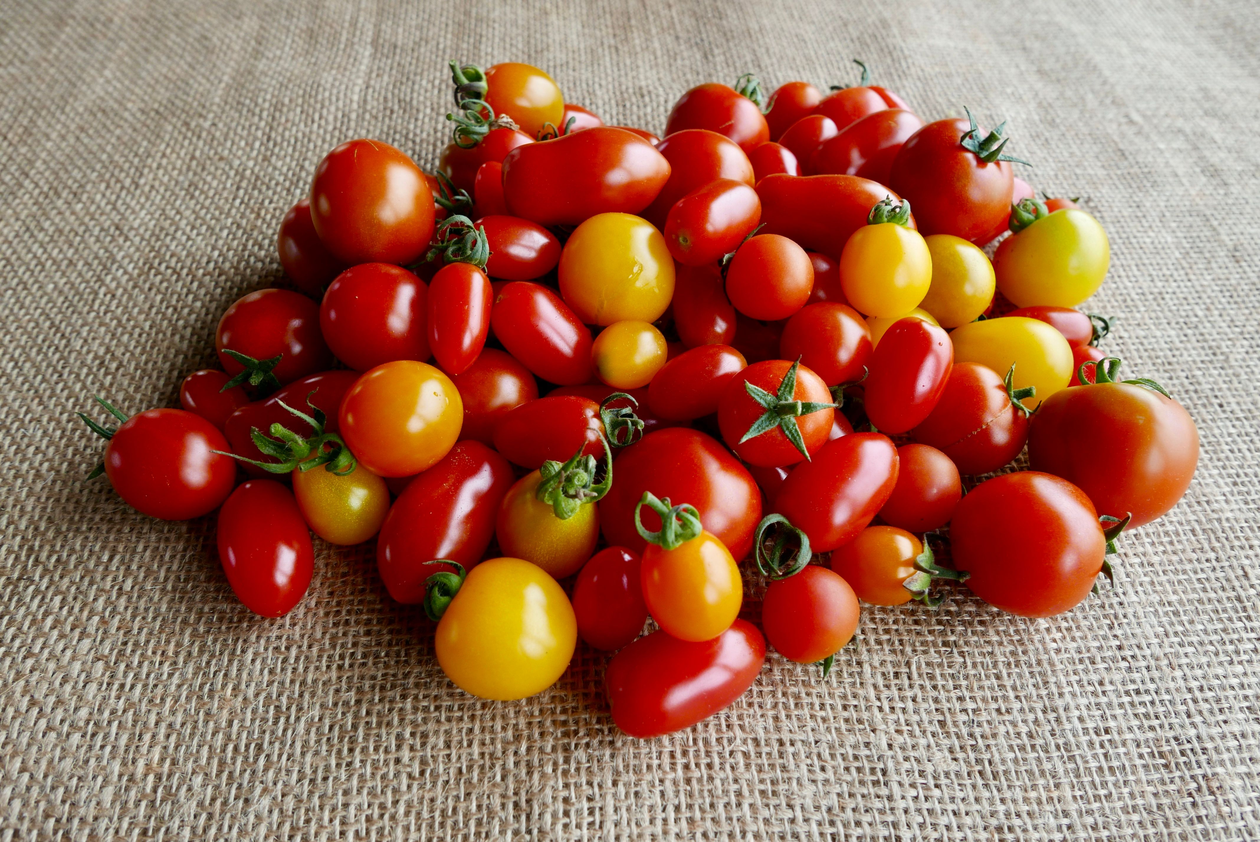 Cherry Tomatoes