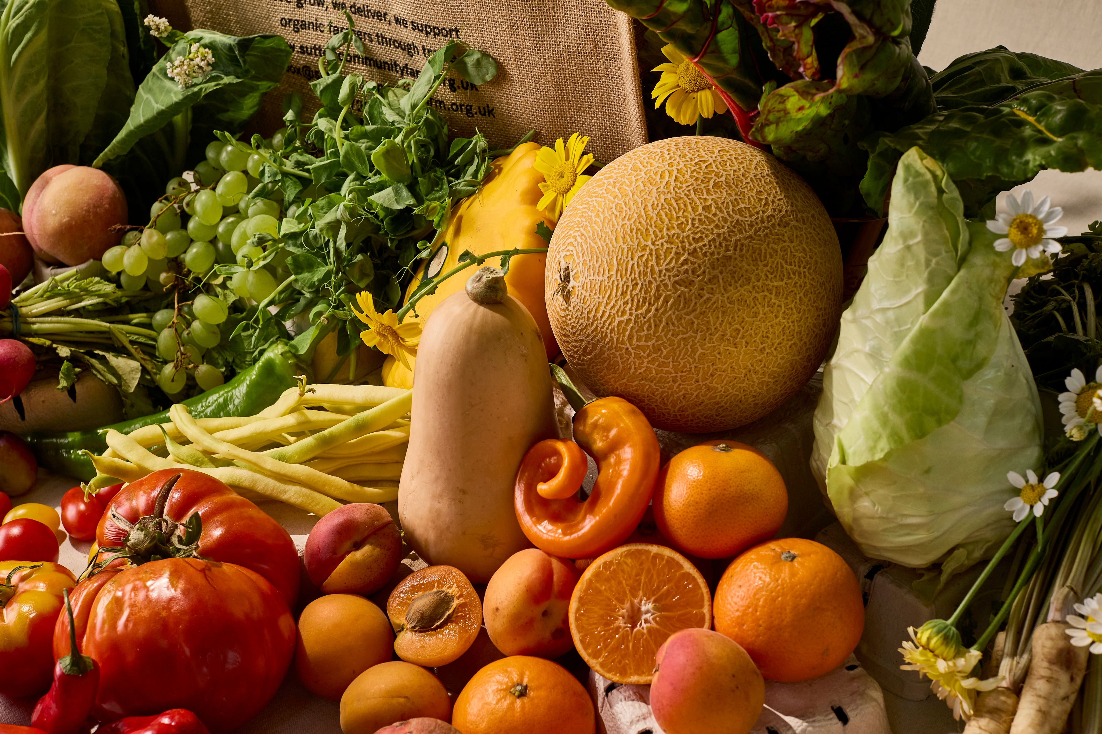 Image of Donate and Gift