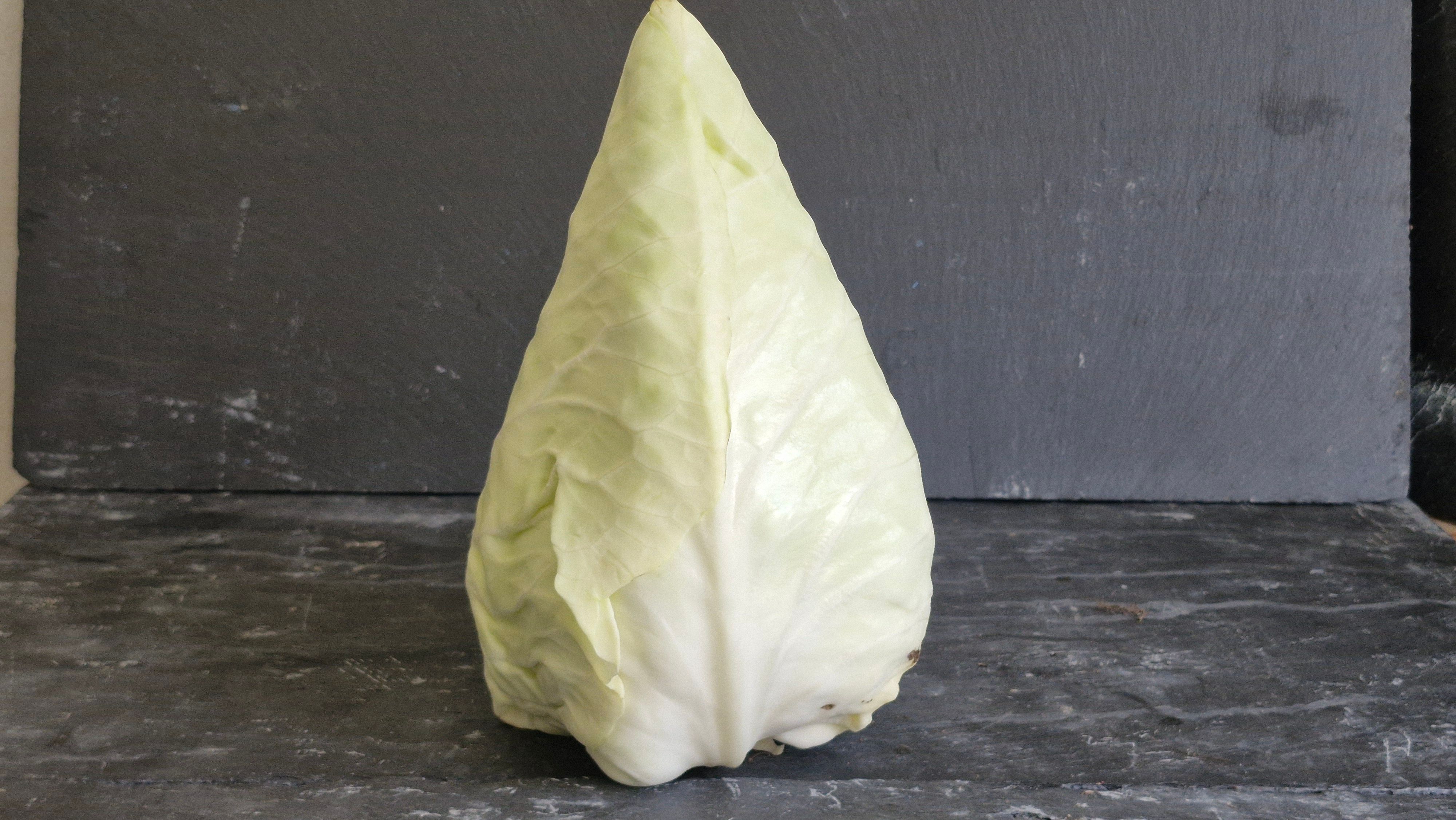 Cabbage 