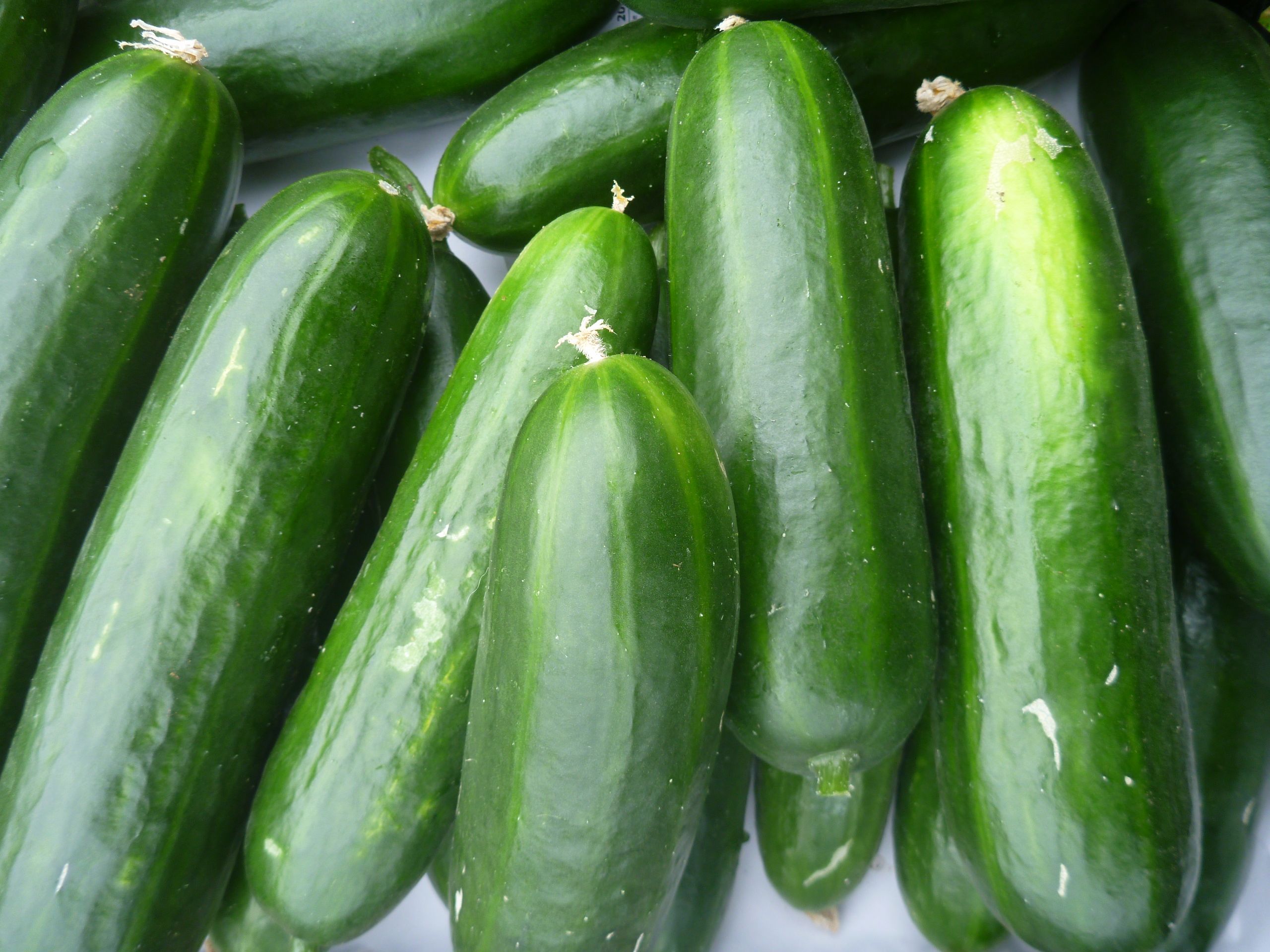 Image of Cucumber