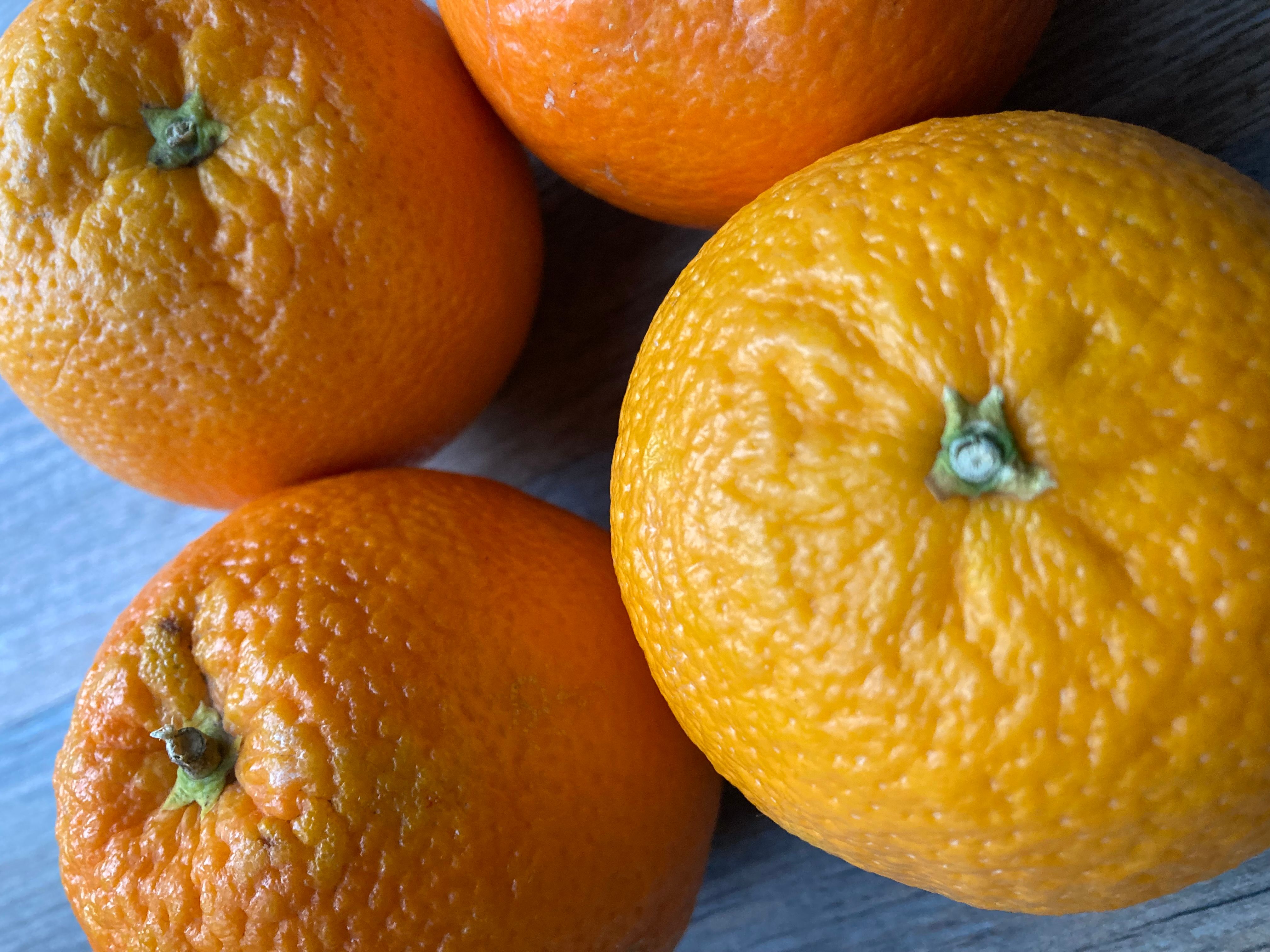 Image of Orange (Organic) - (x4)