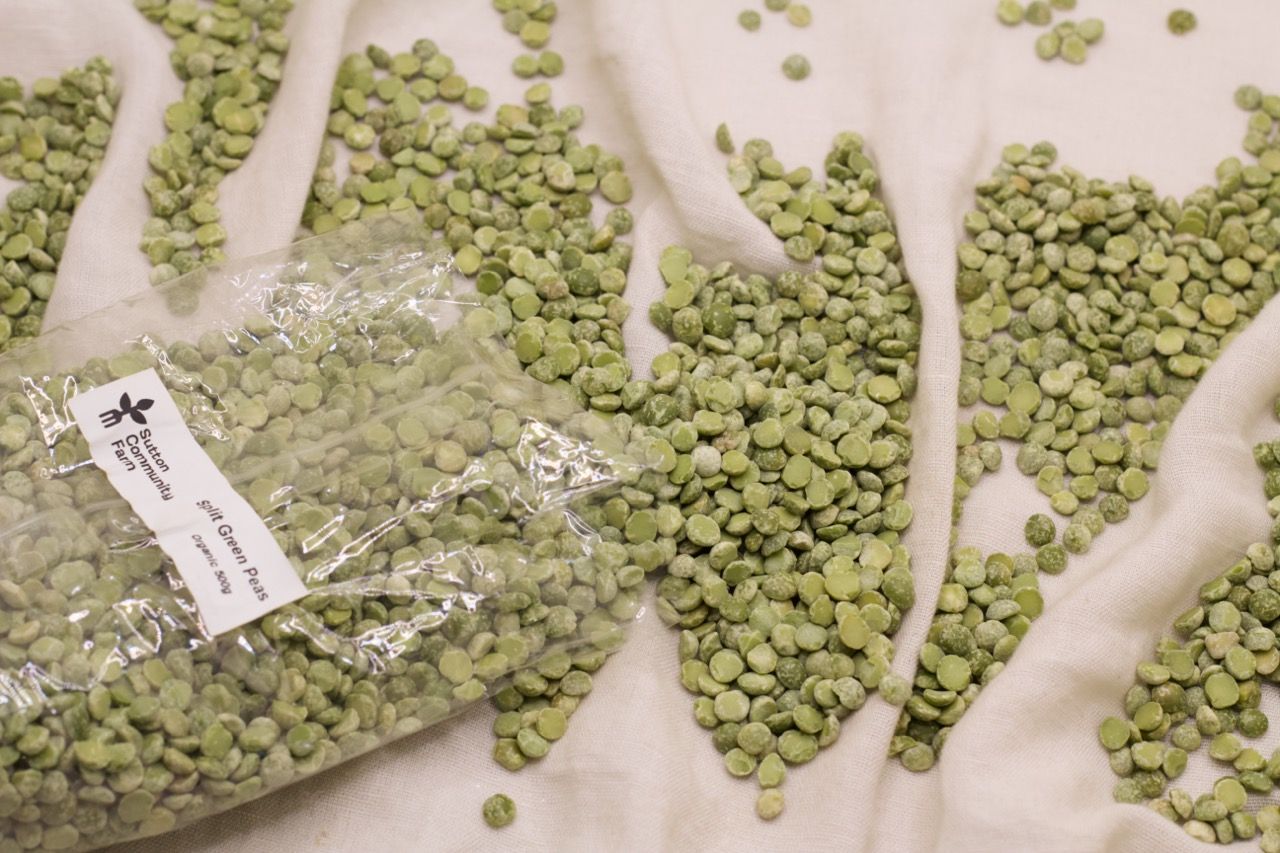 Image of Grains & Pulses