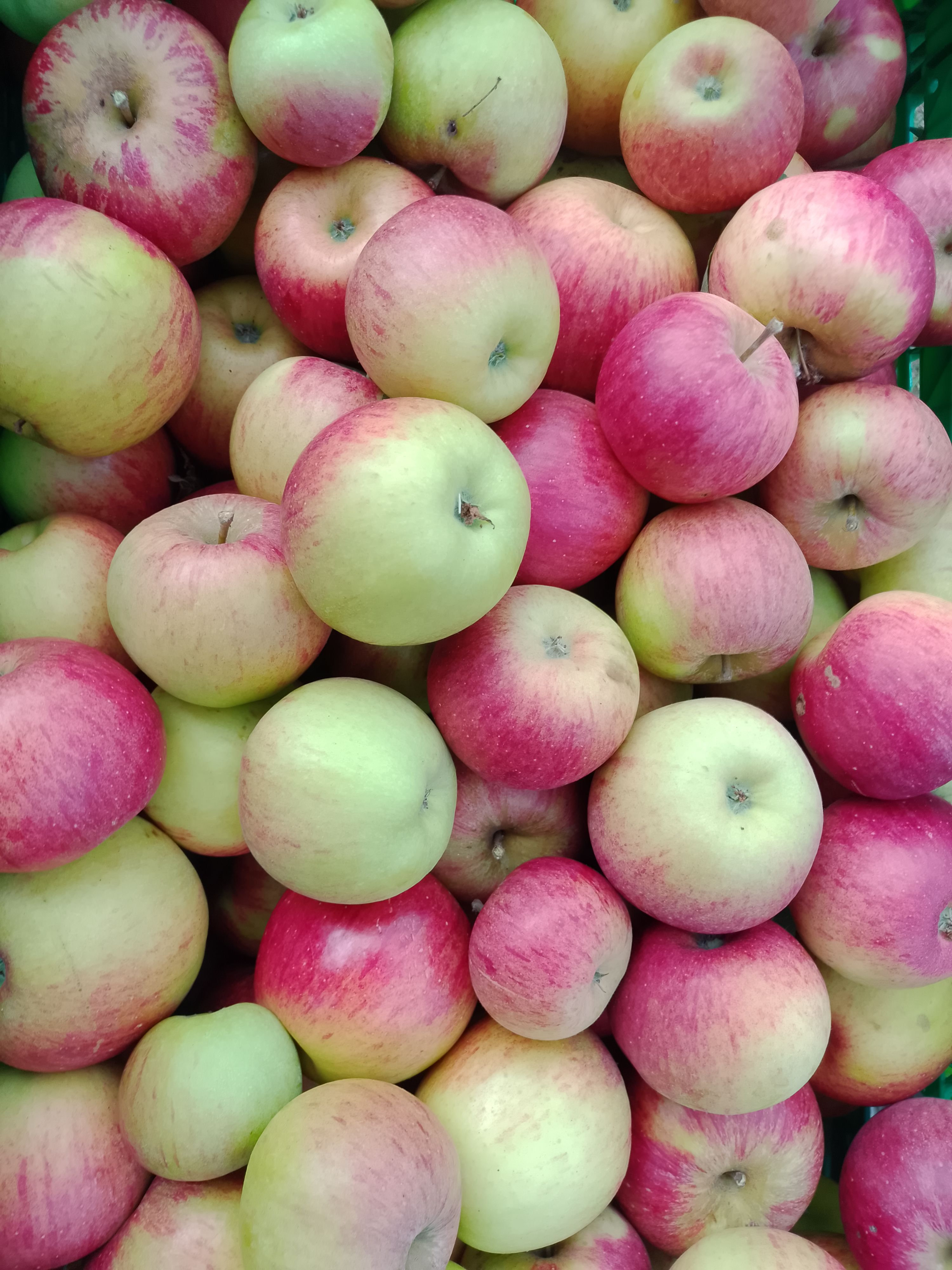 Apples, Dessert - Wye Organic's own