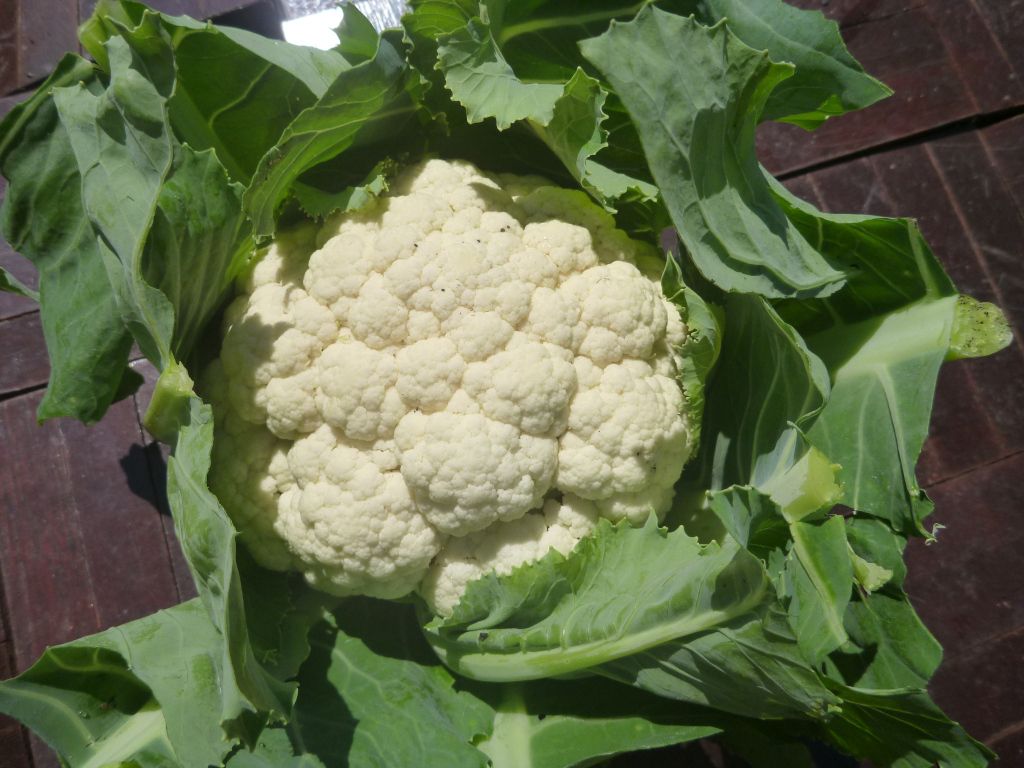 Cauliflower