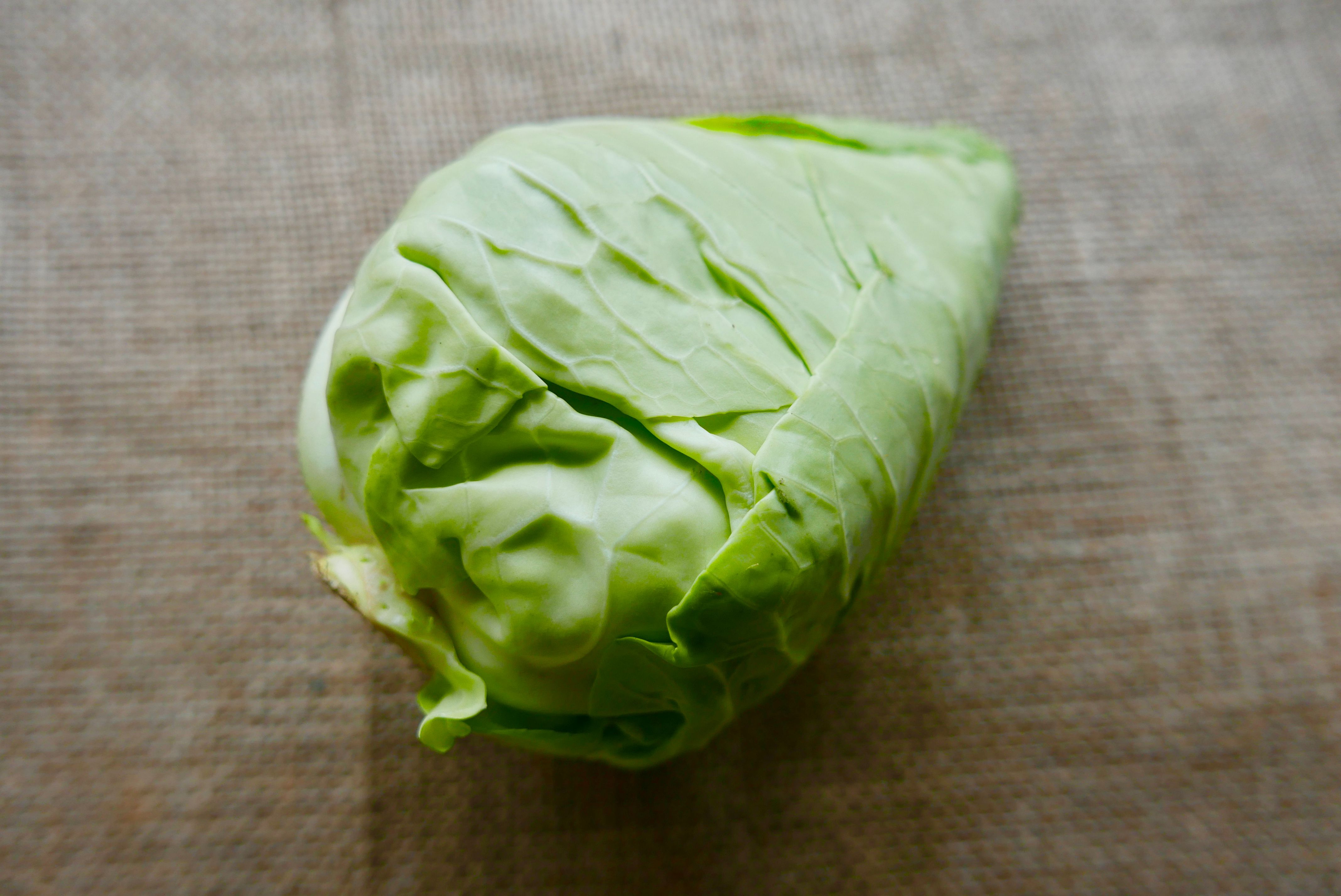 Green Cabbage