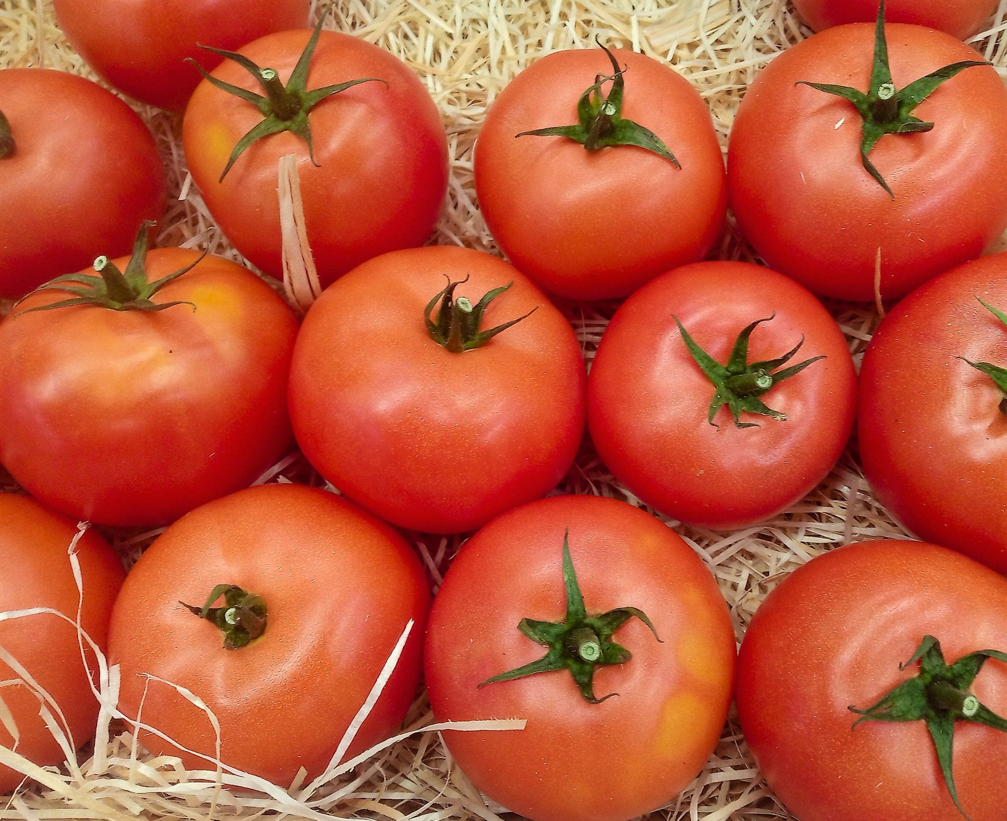 Image of Tomatoes, Salad