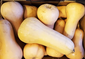 Butternut squash
