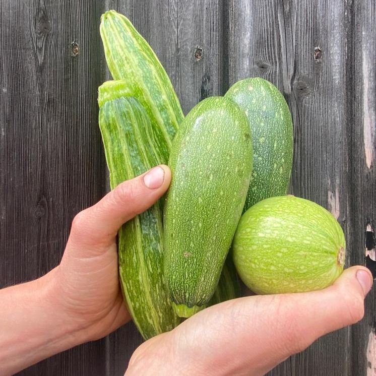Image of Flourish Courgettes (Mix)