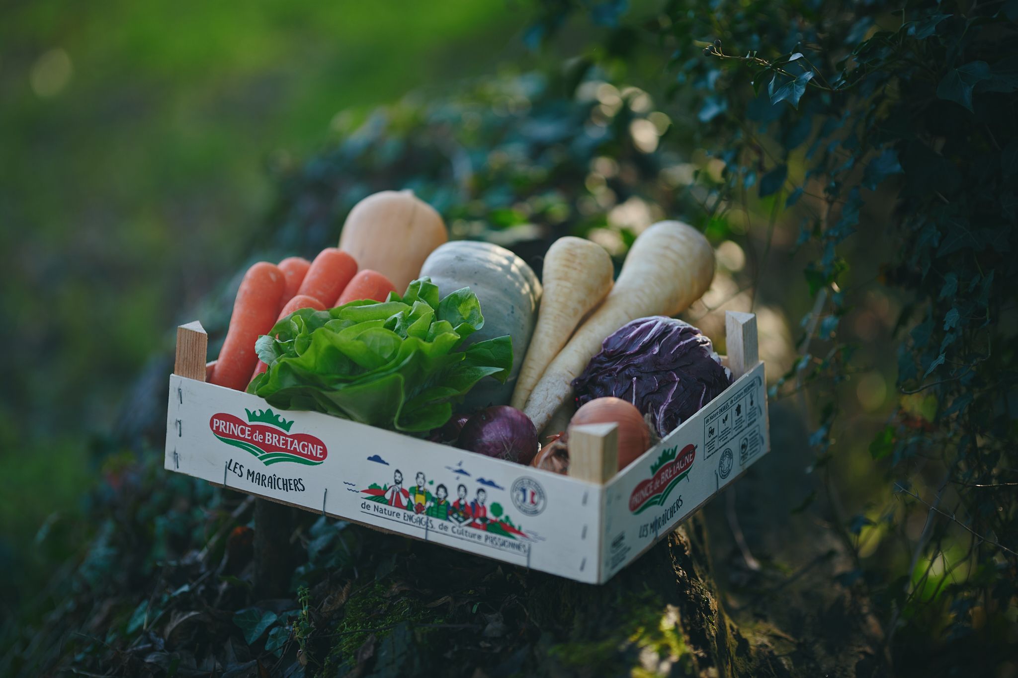 Image of Medium Veg Box