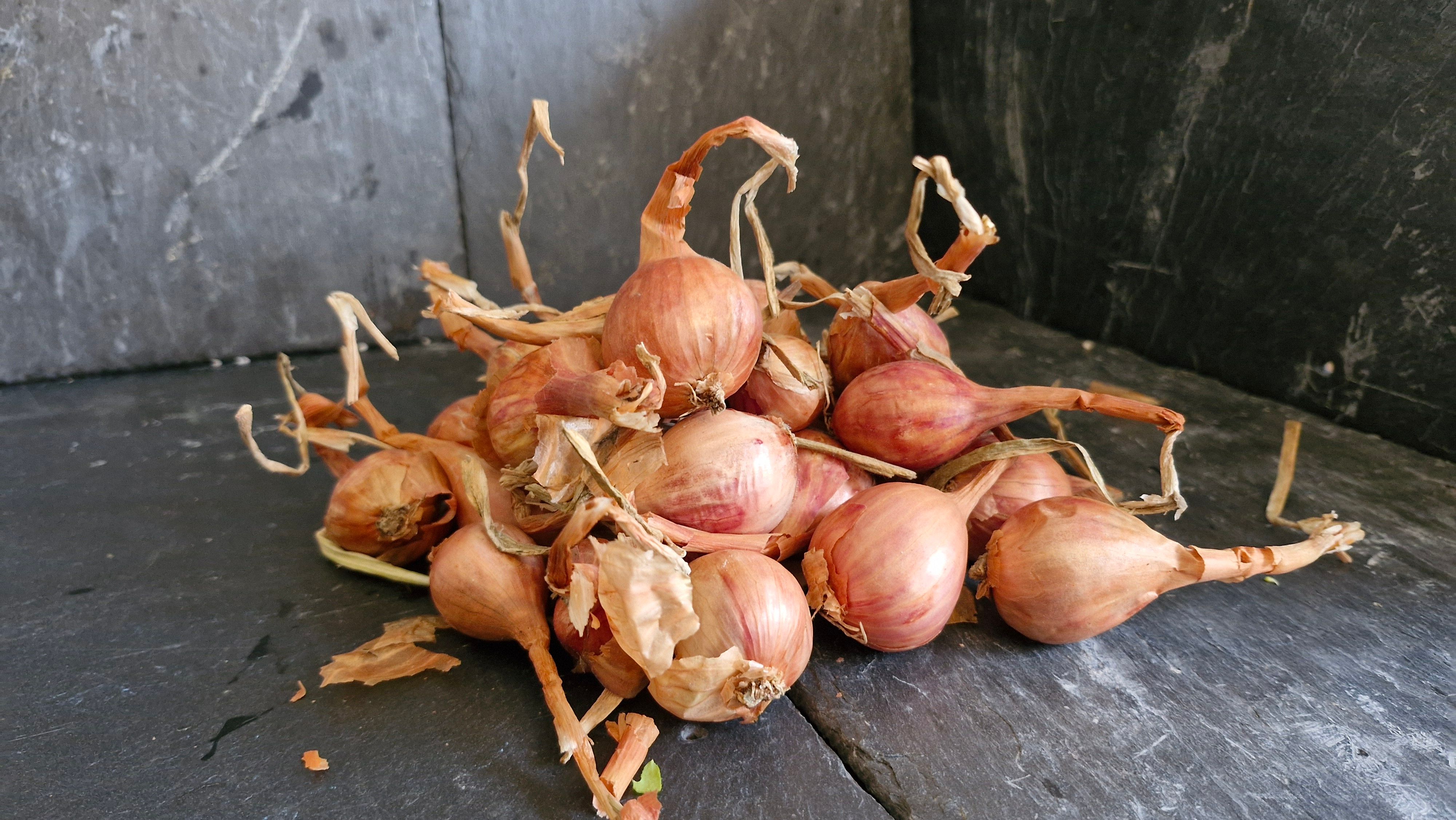Shallots 