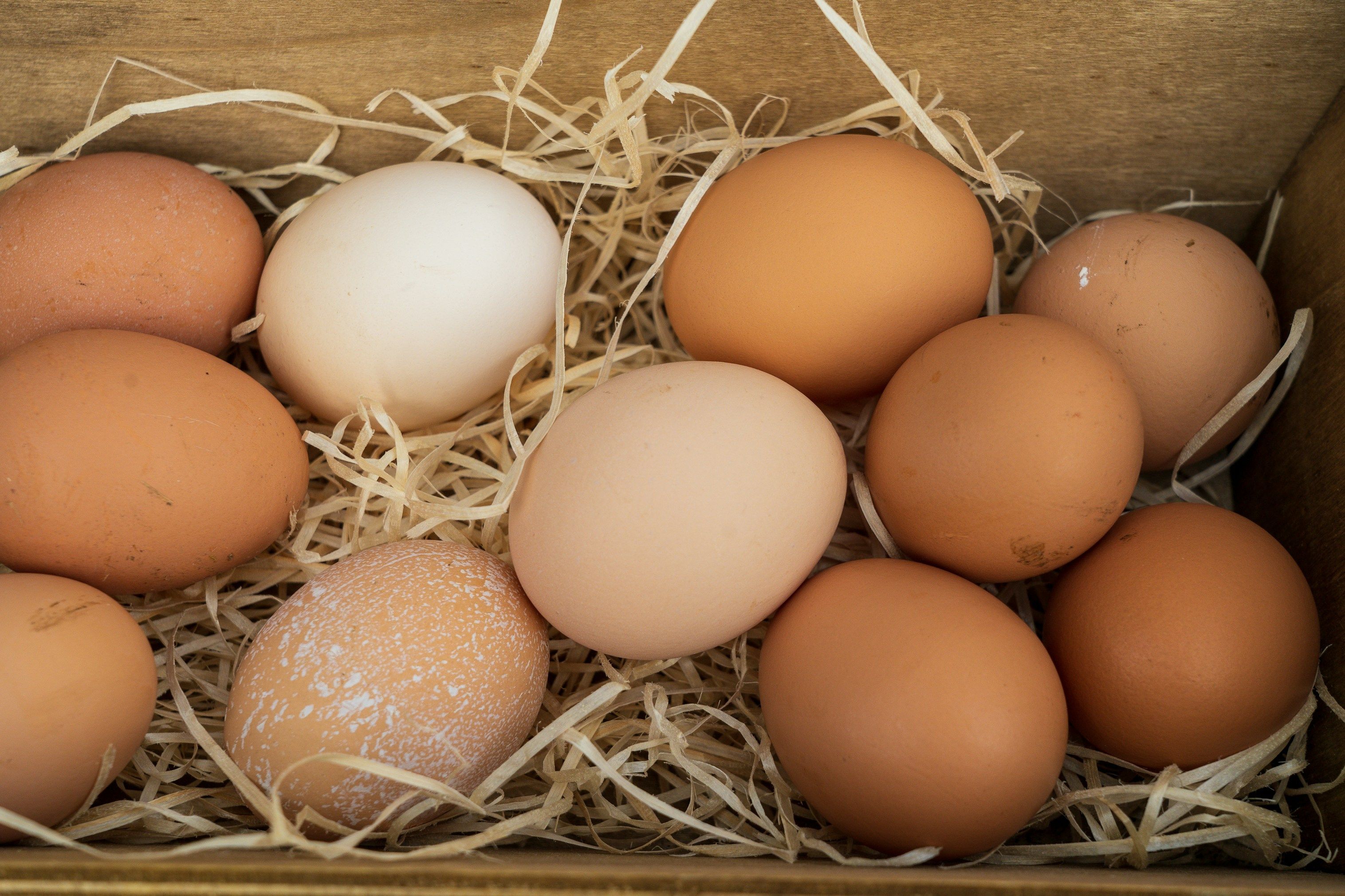Image of Eggs- half dozen