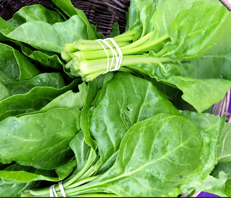 Image of Erbette Spinach