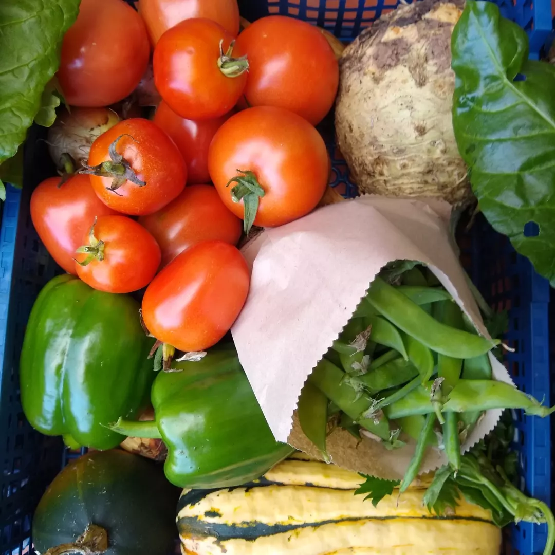 Image of Veg boxes