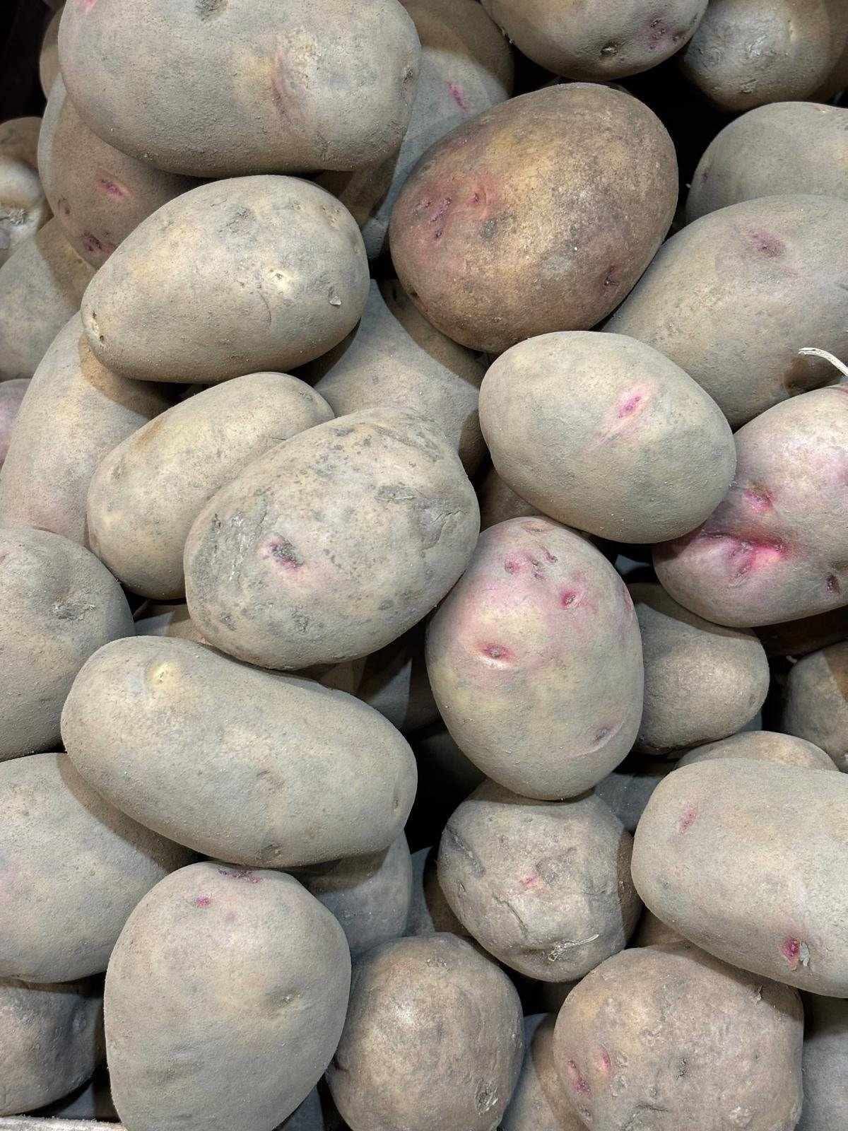 King Edward Potatoes