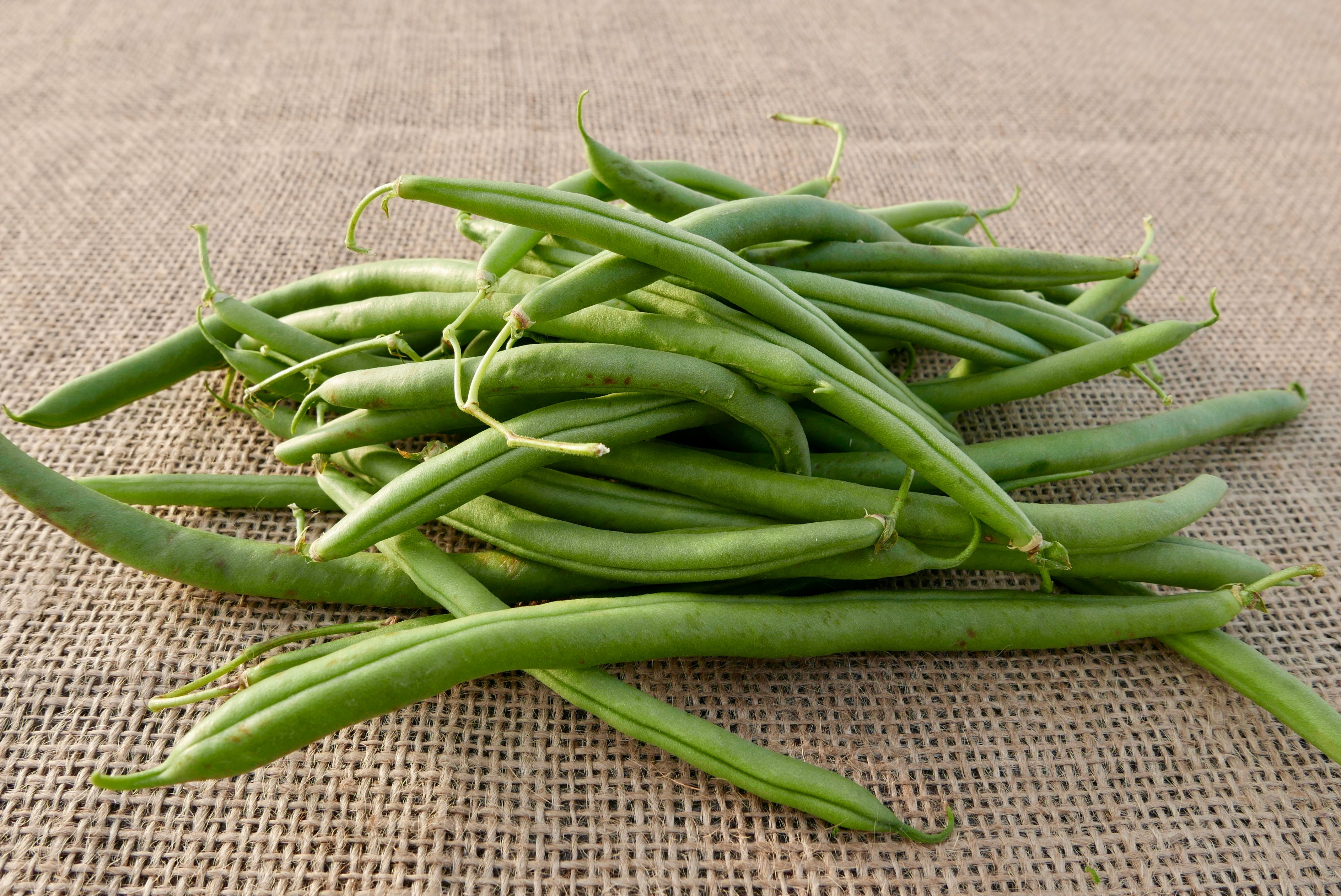 Round French Beans