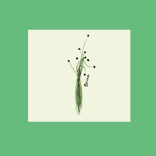 Onion Shoots