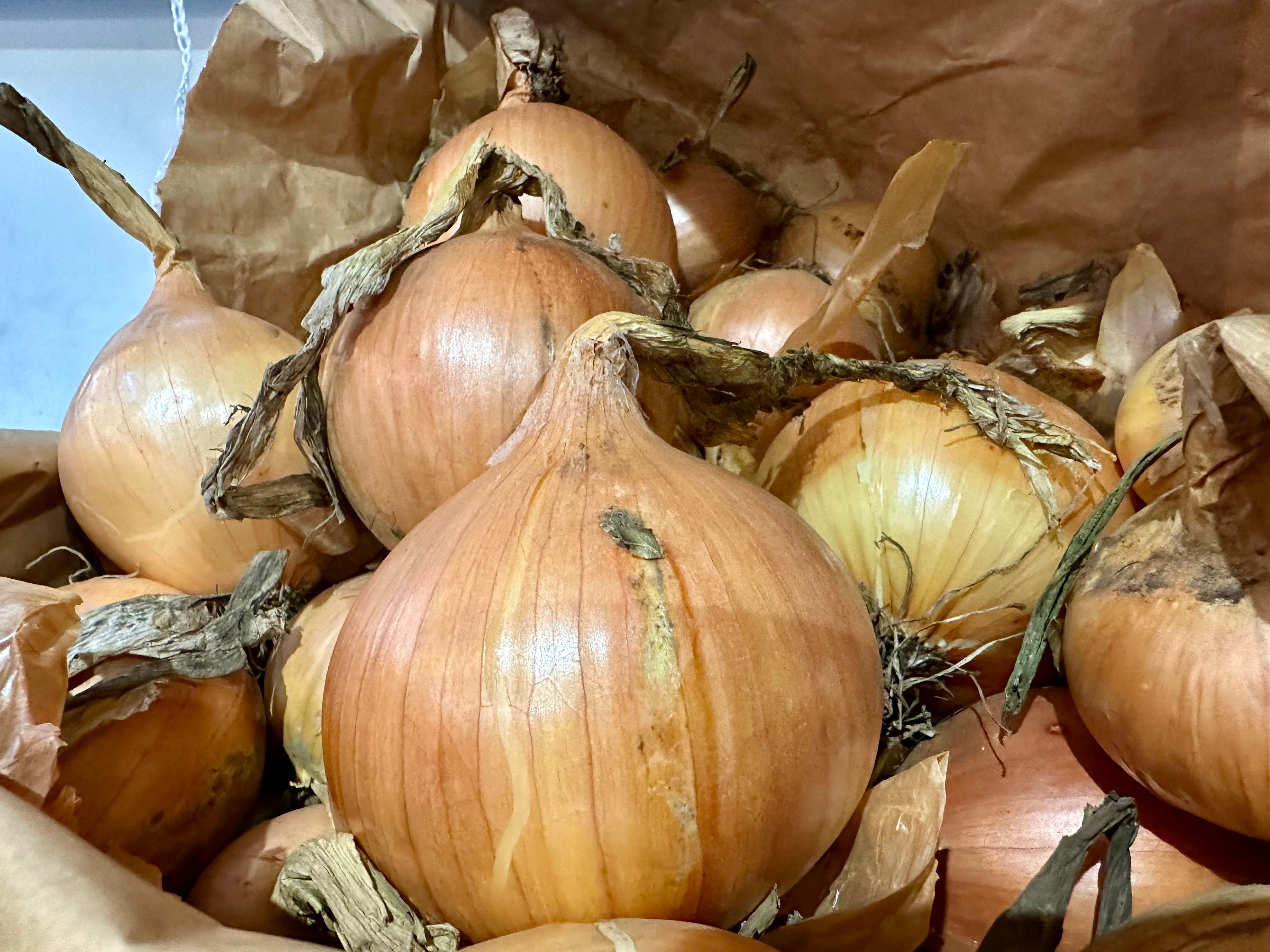 Image of Onion Yellow