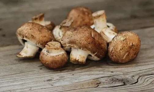 Chestnut Mushrooms
