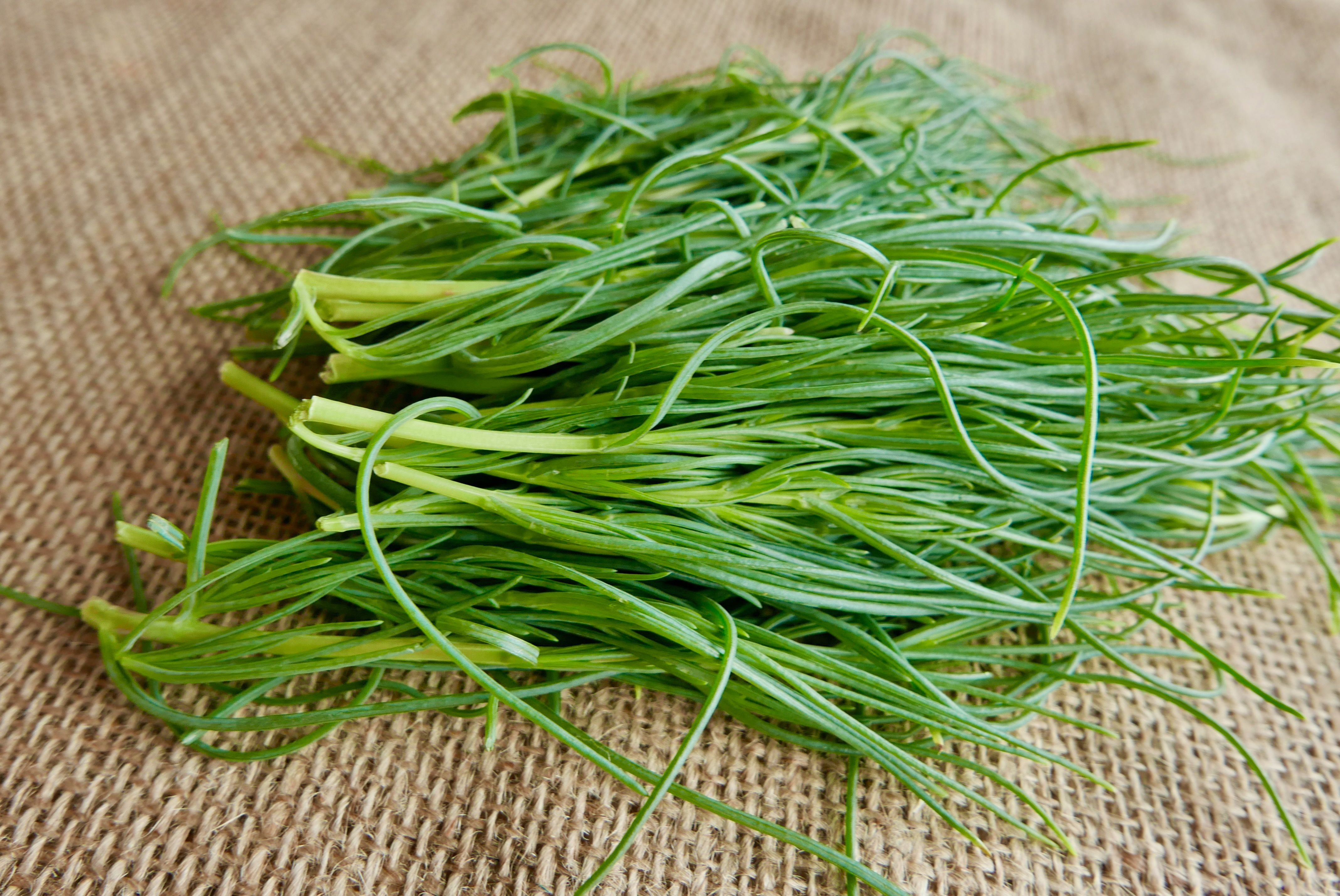 Image of Agretti