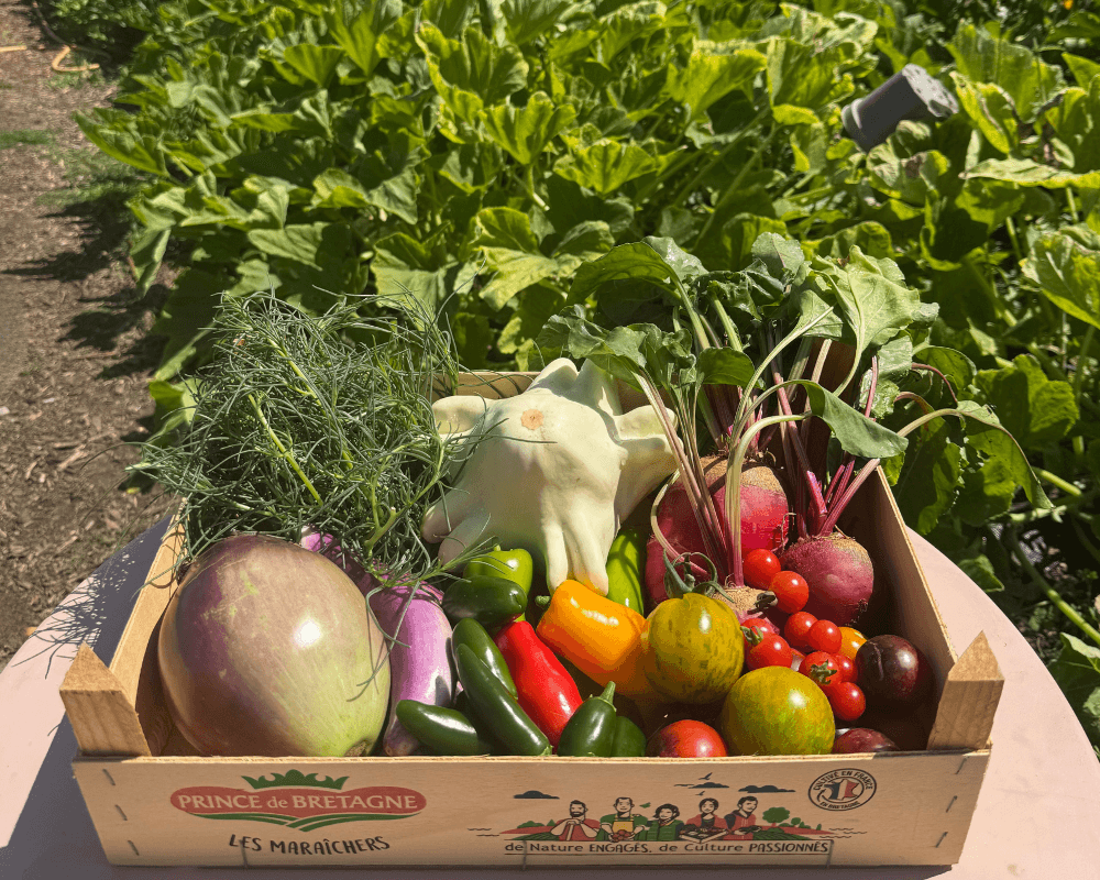 Small Veg Box (1-2 people)